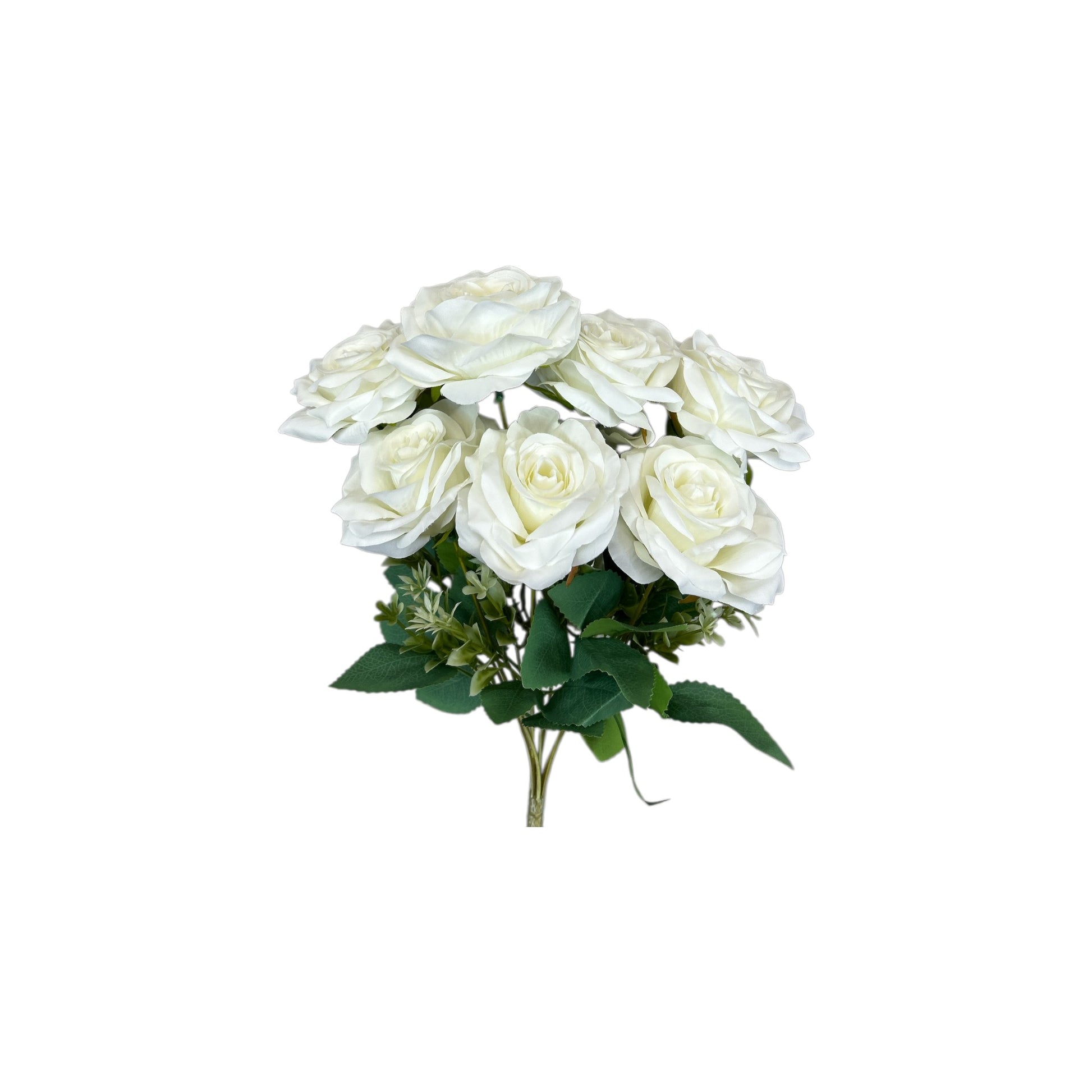 Bridal White Rose Bush- 7 heads