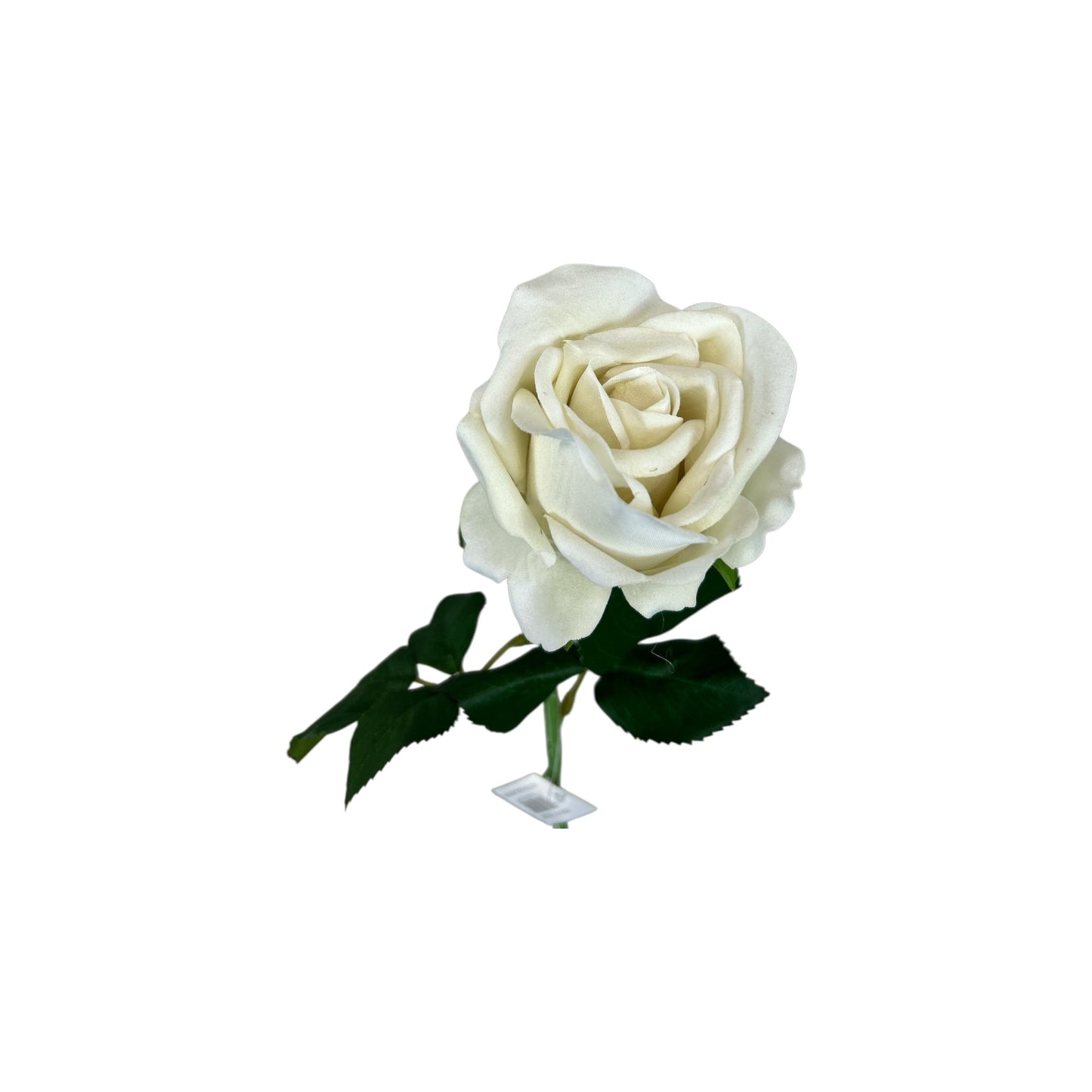 Bridal White Velvet Rose Stem