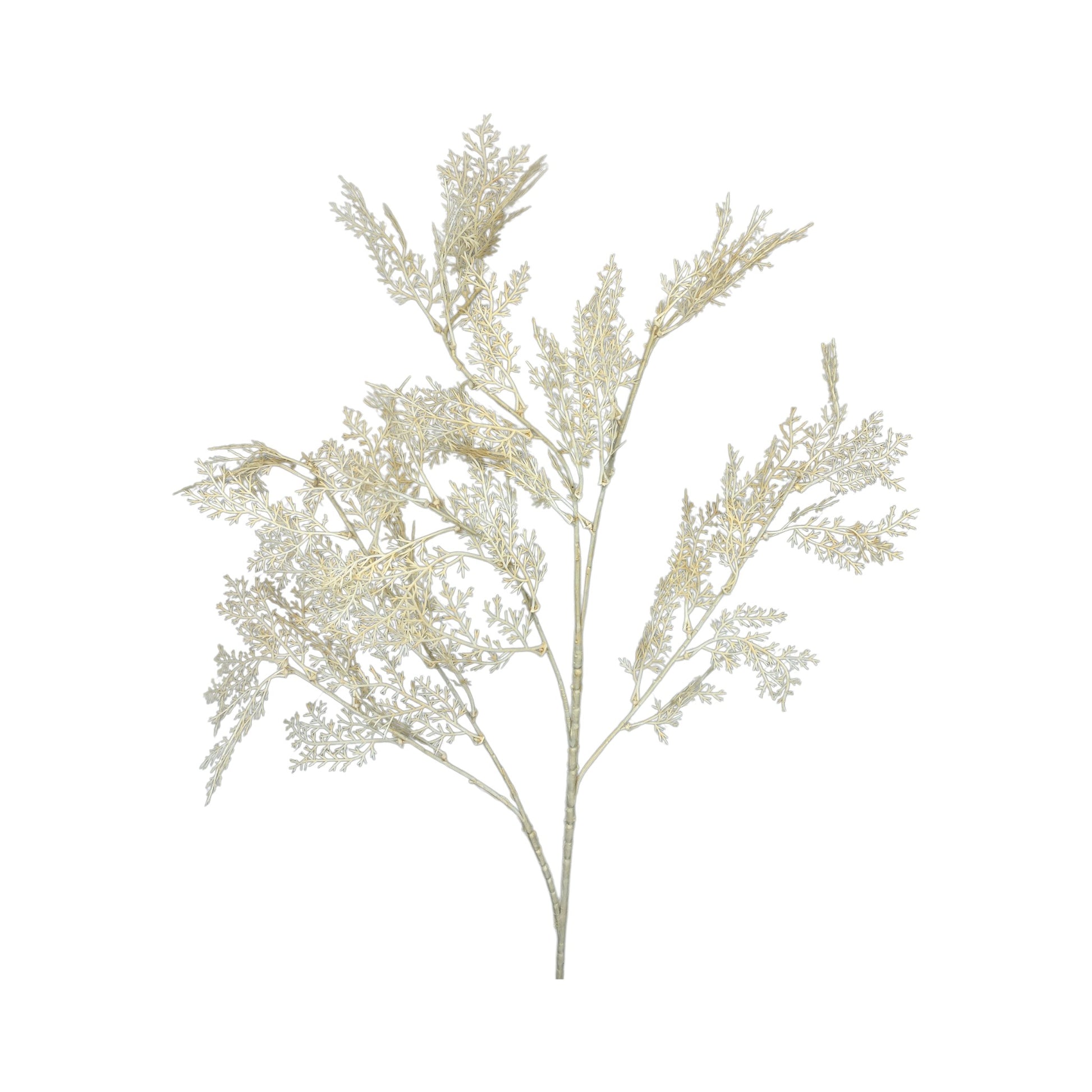 Champagne Myrtle Spray