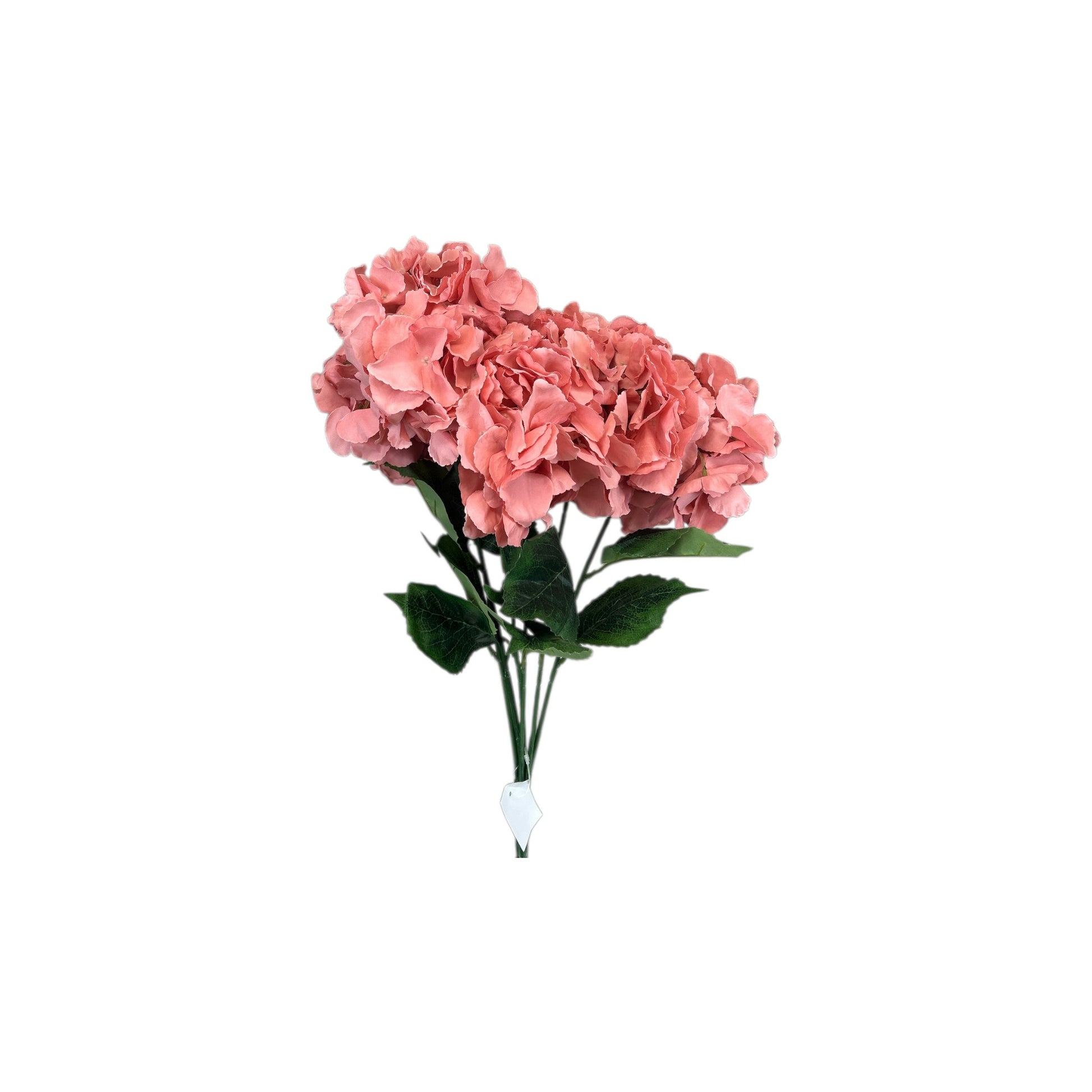 Coral Hydrangea Bush- 6 heads