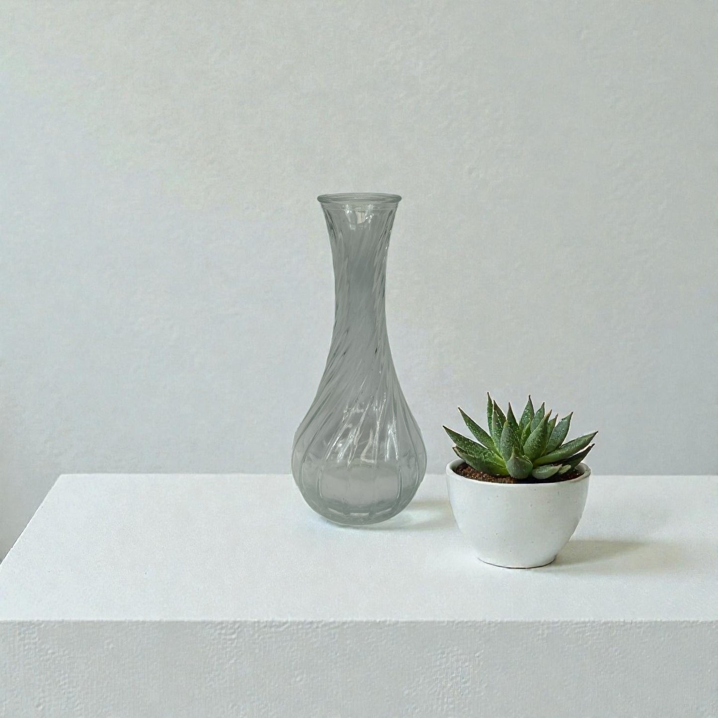 Bud Vases- 12 Piece Set