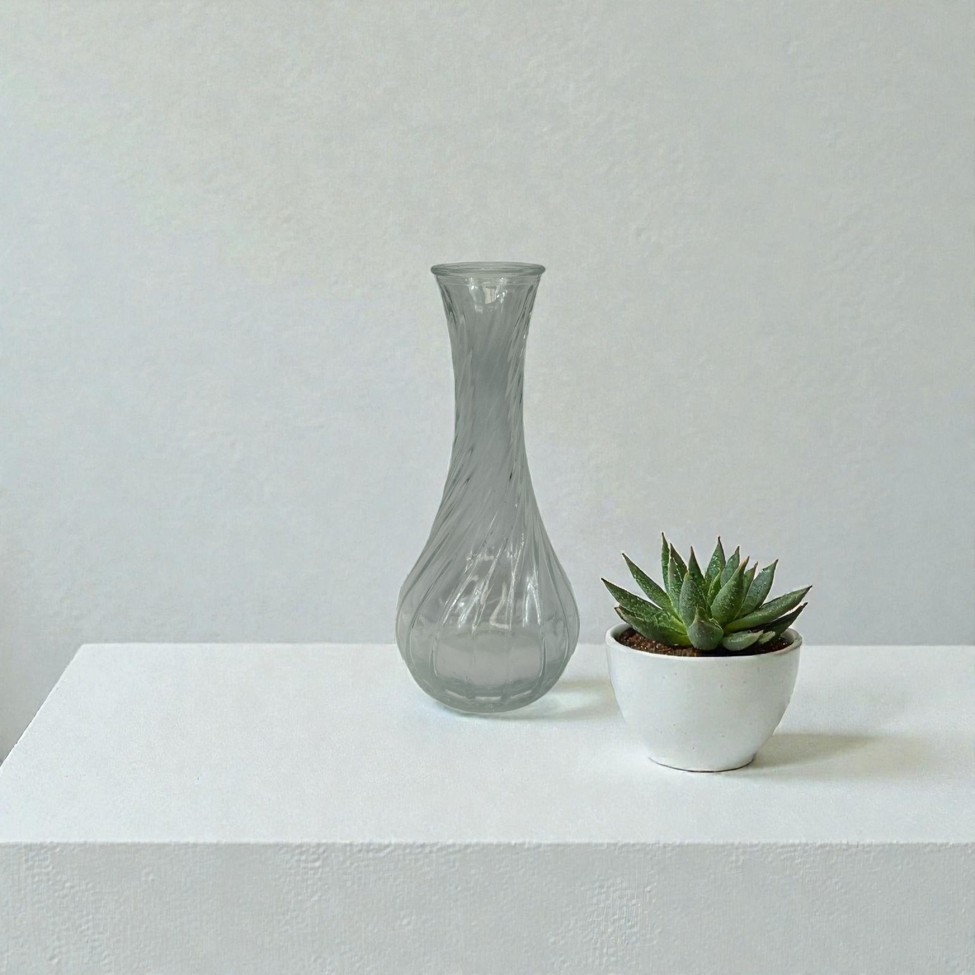 Bud Vases- 12 Piece Set