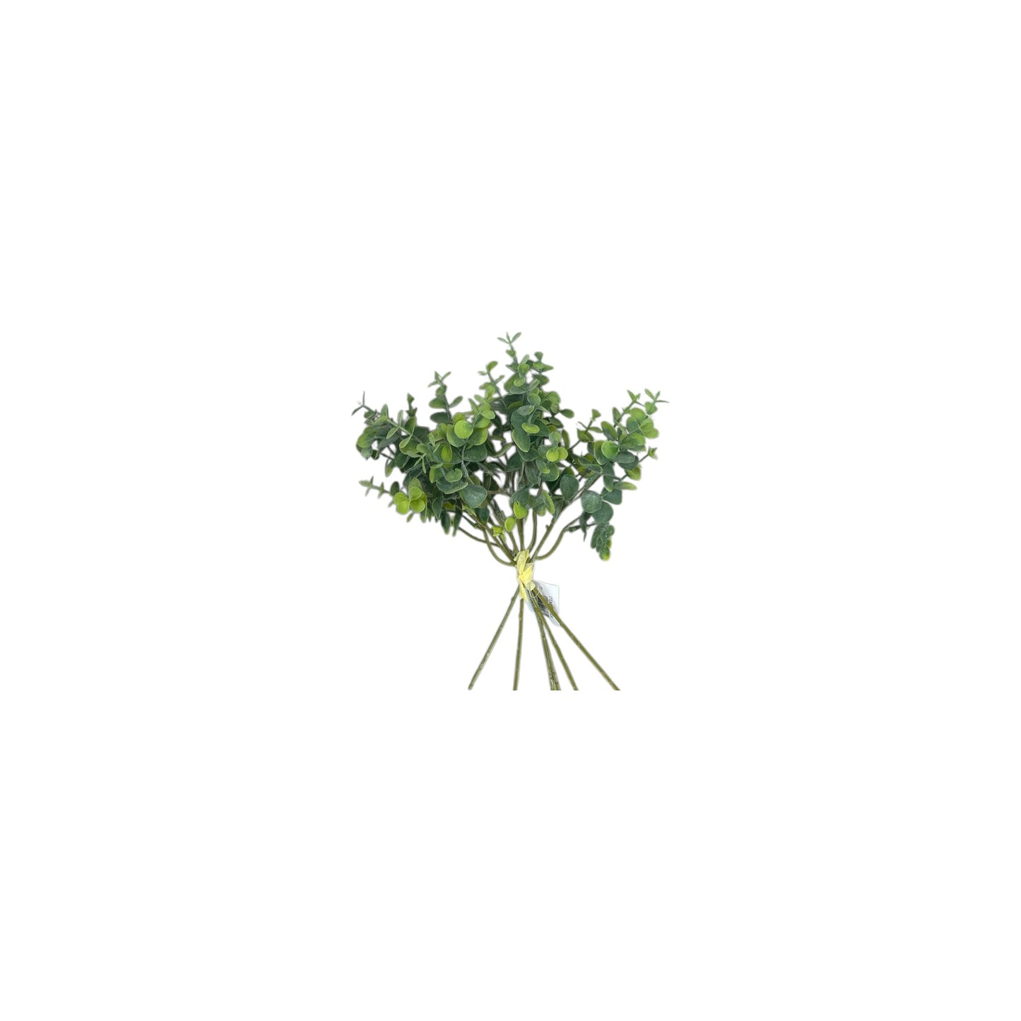 Eucalyptus Bundle- 6 heads