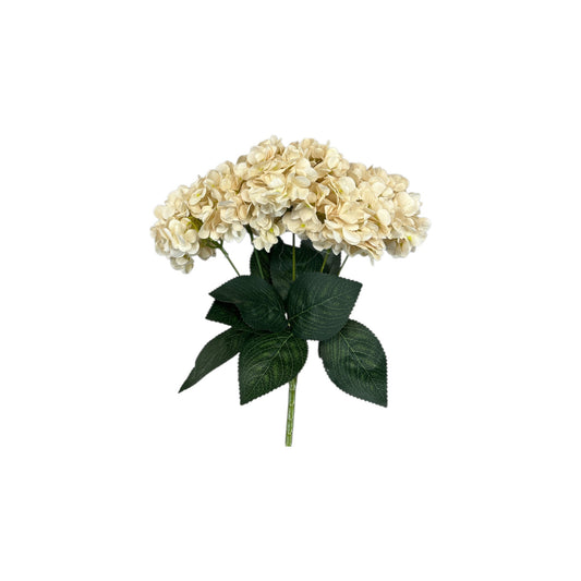 Euro White Hydrangea Bush- 5 heads