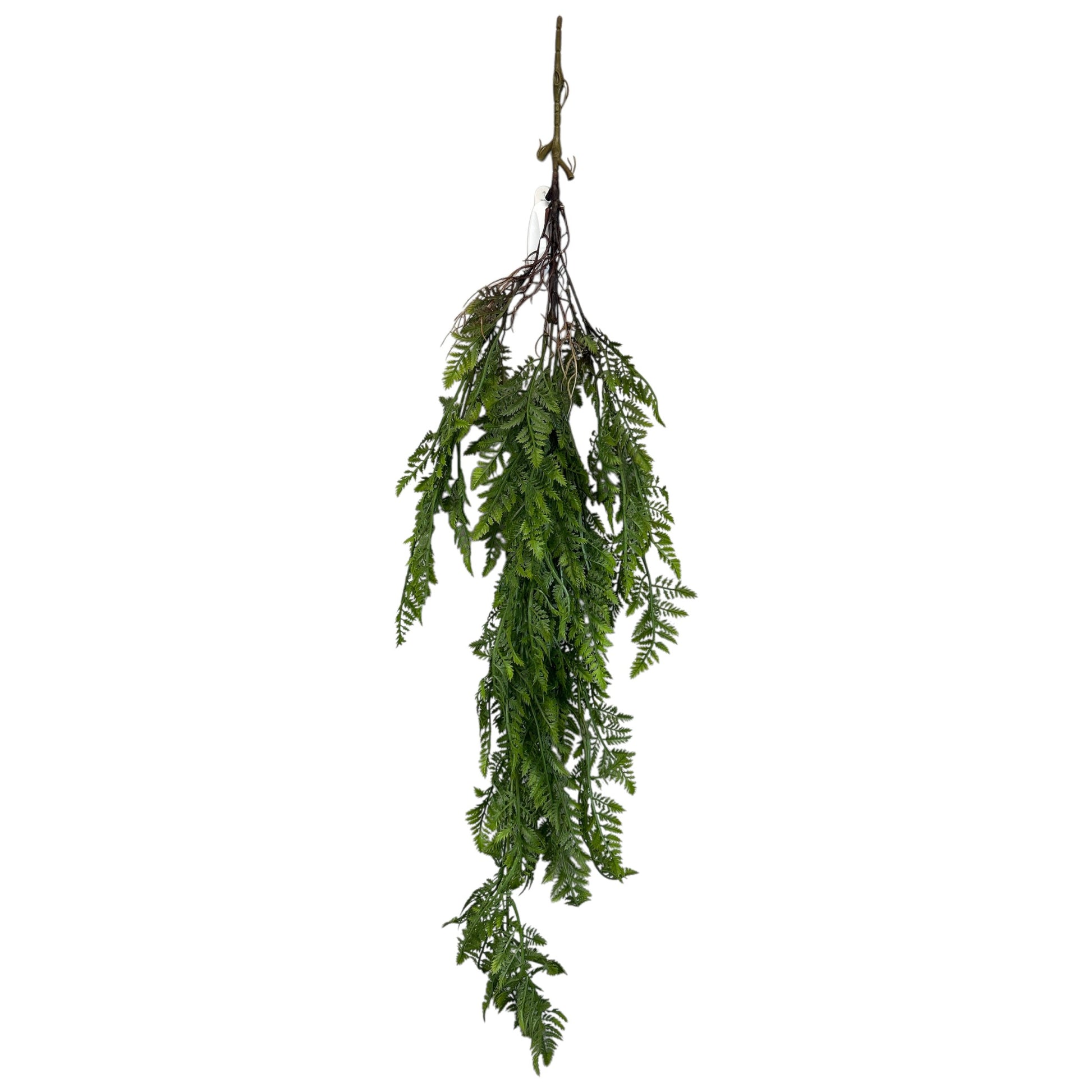 Hanging Mini Fern Bush