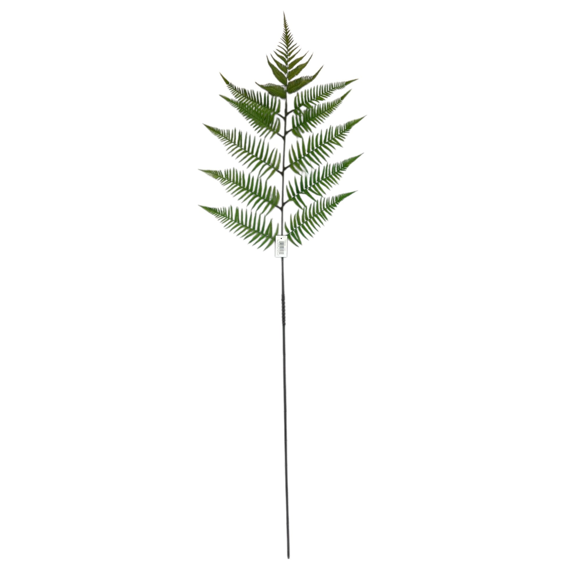 Fern Branch- 55"