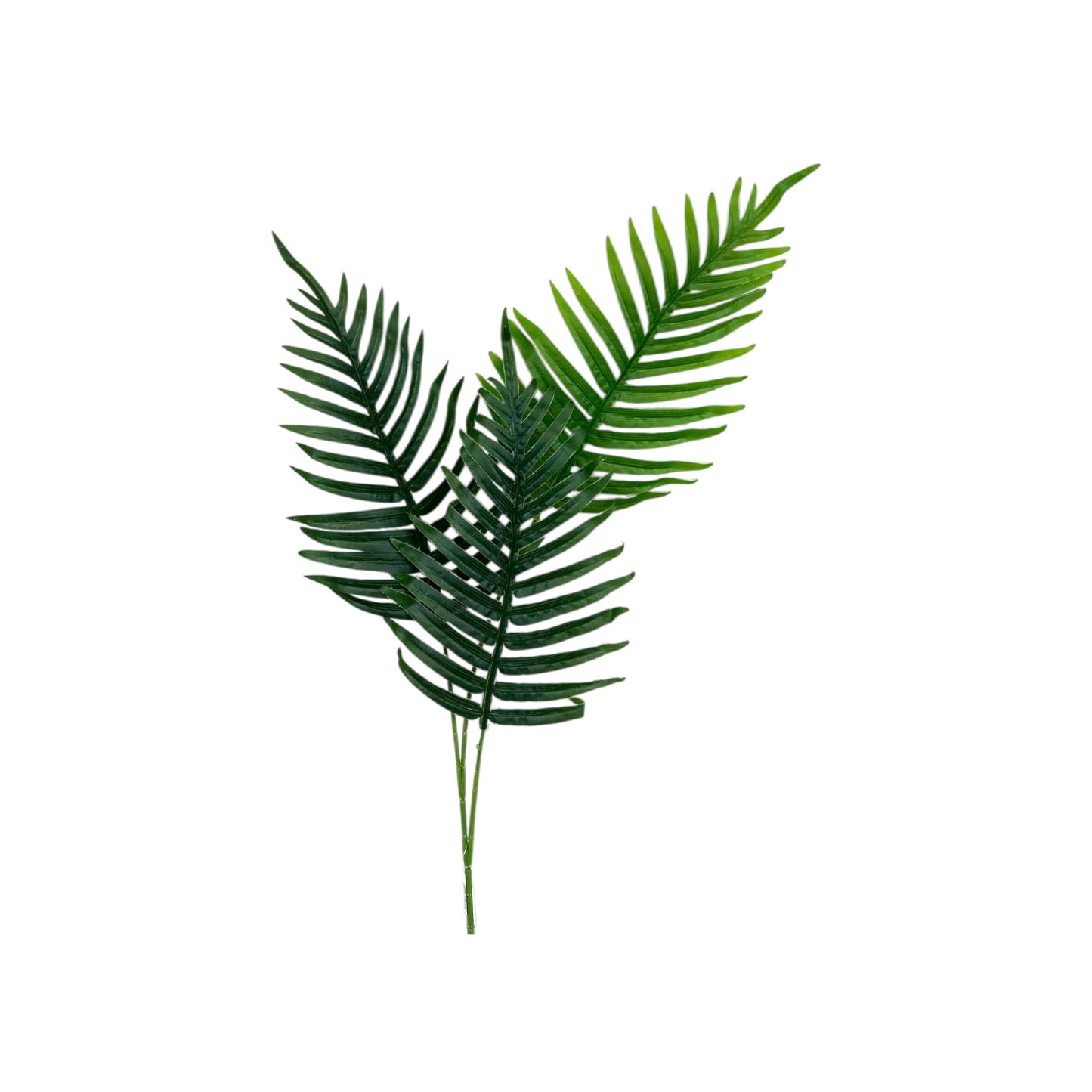 Fern Leaf- 3 heads