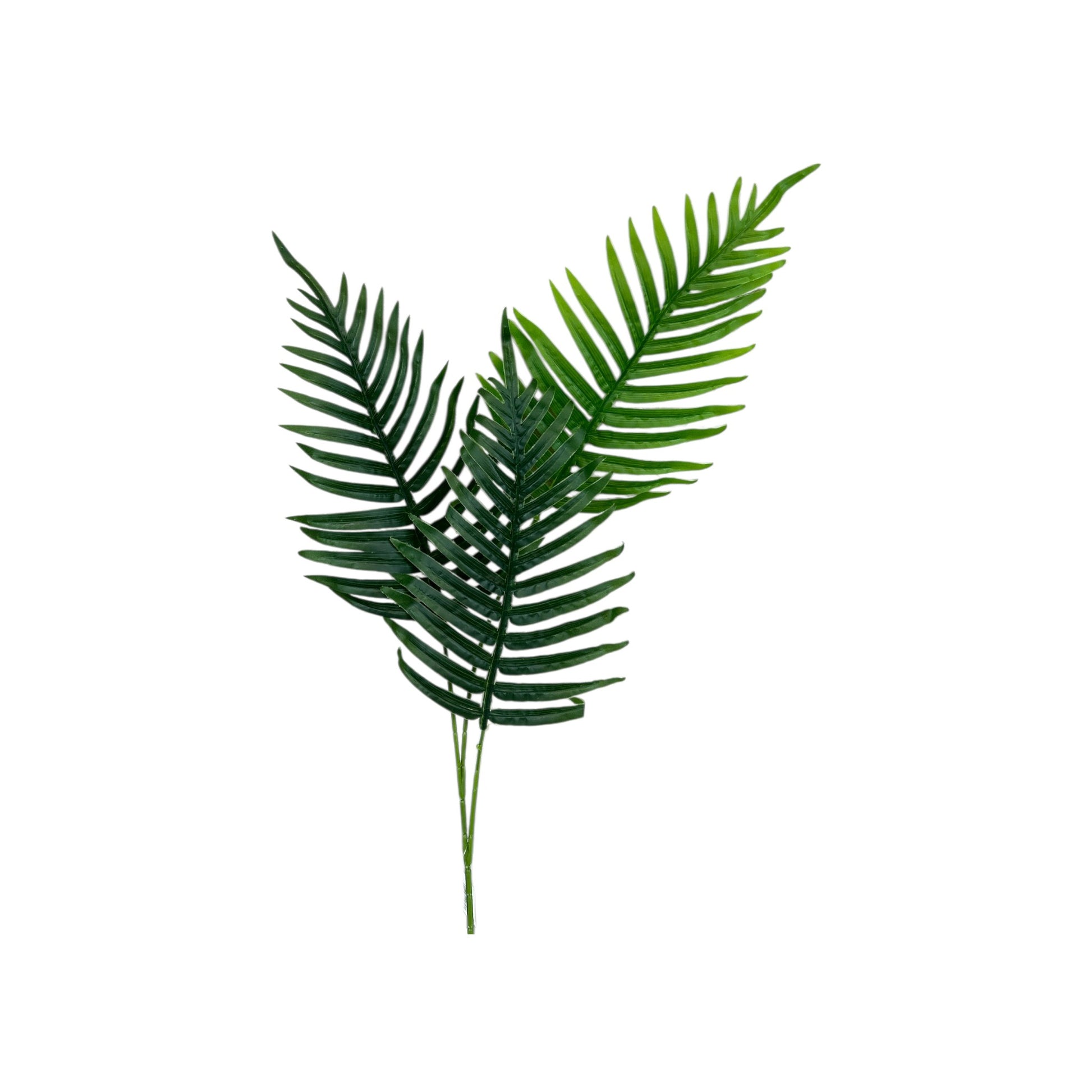 Fern Leaf- 3 heads