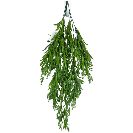 Budding Hanging Forest Fern Bush