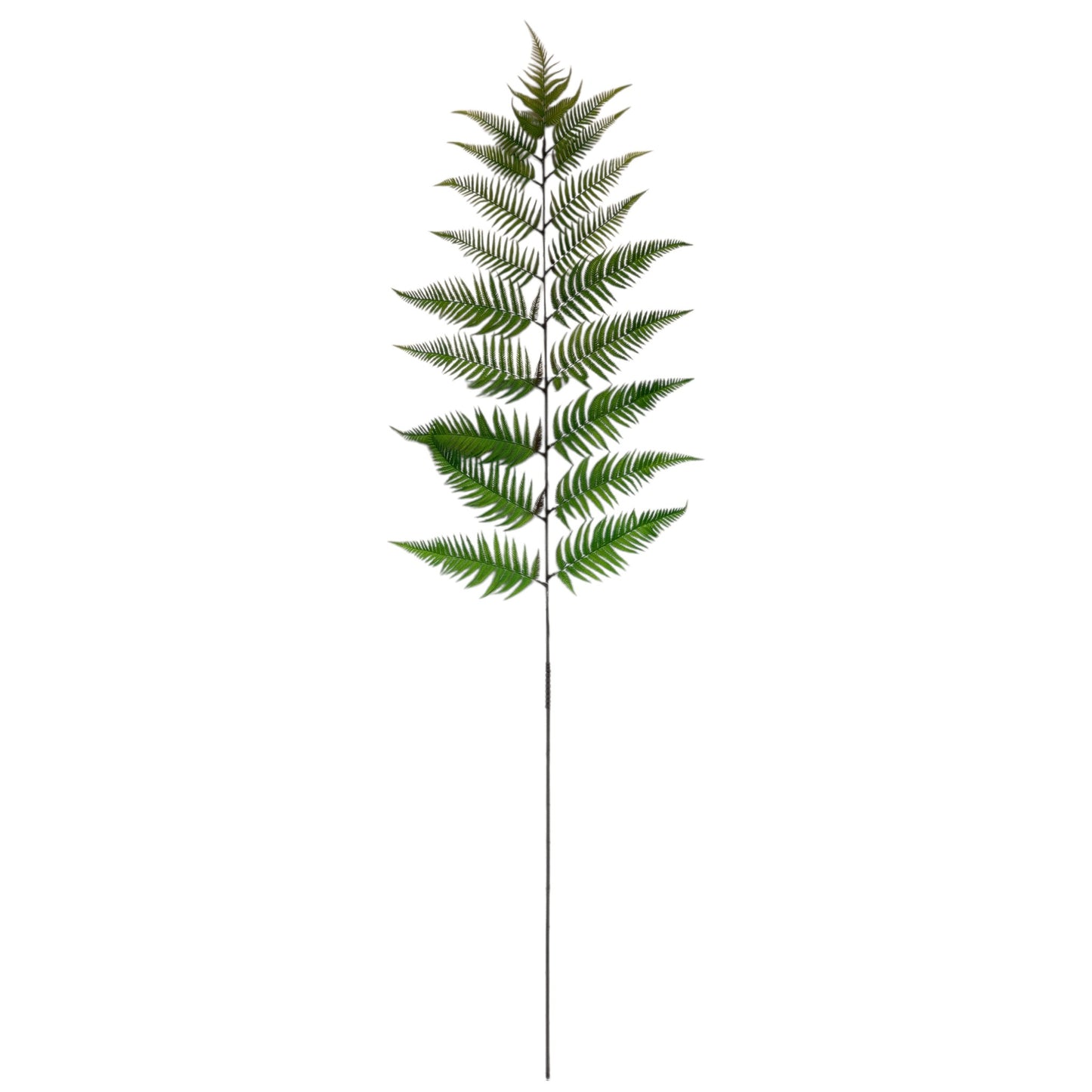 Fern Branch- 72"