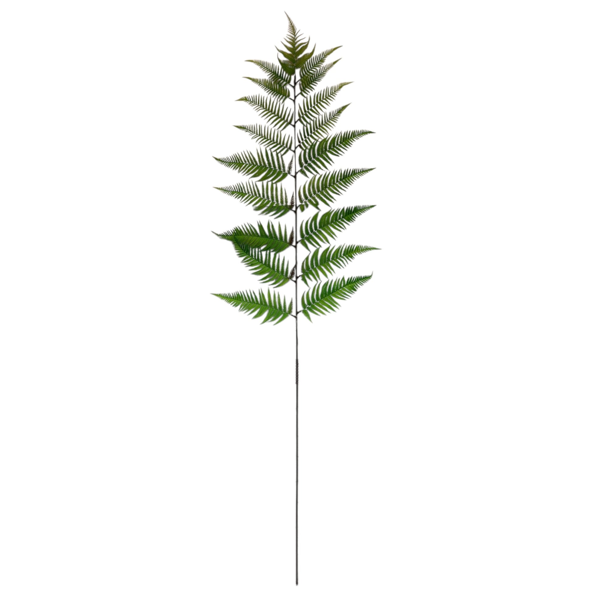 Fern Branch- 72"