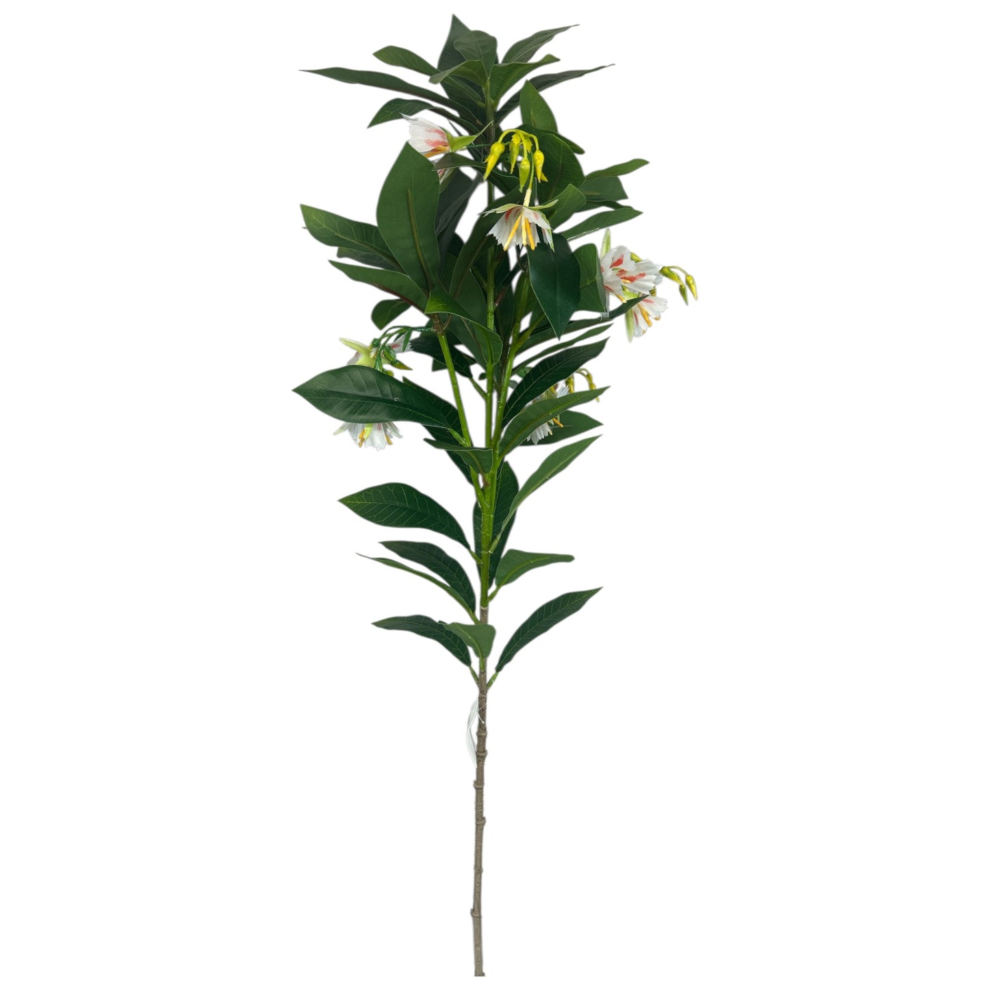 Leaf Spray With Flowers