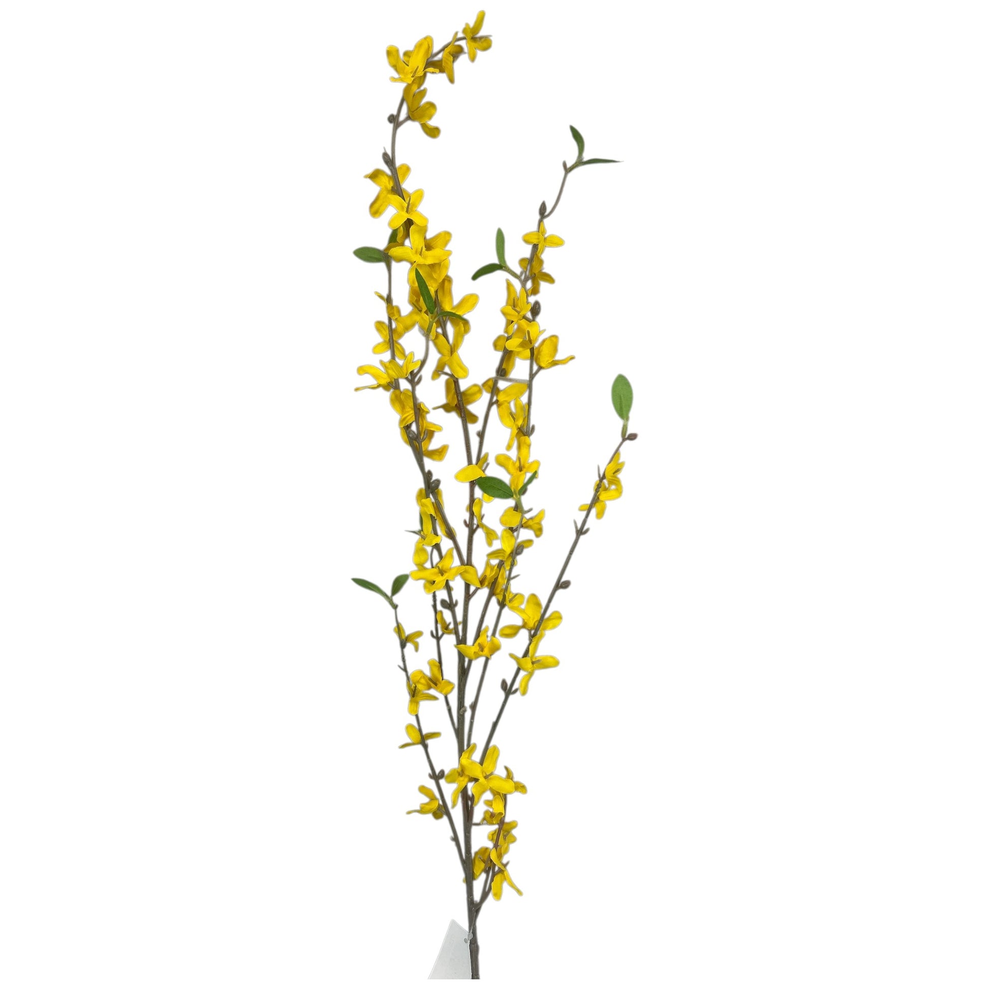 Yellow Forsythia Spray