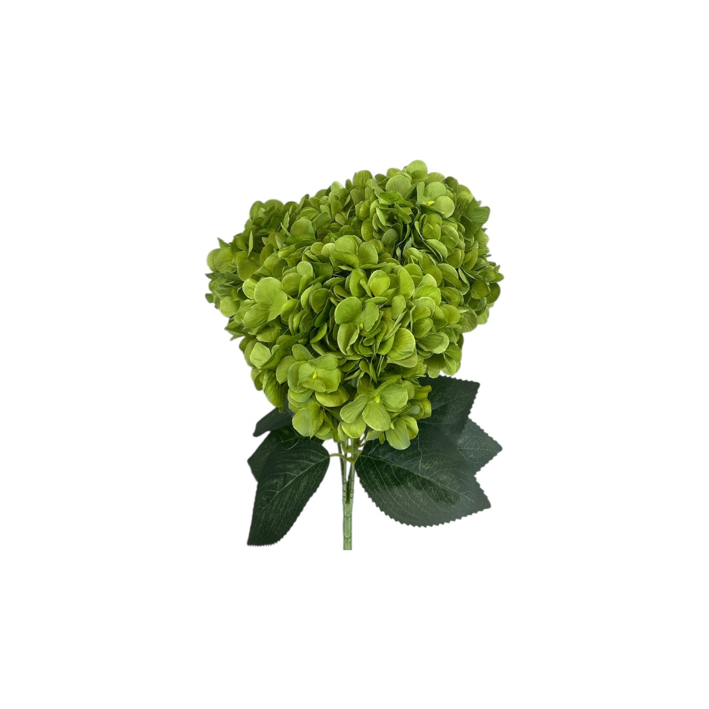 Dark Green Hydrangea Bush- 5 heads