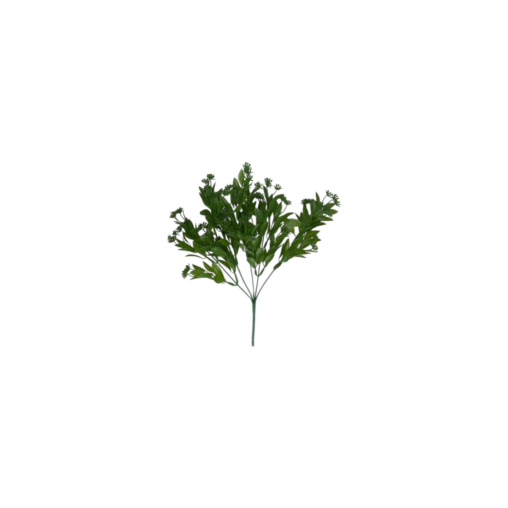 Greenery Mini Bush With Seeds- 5 heads