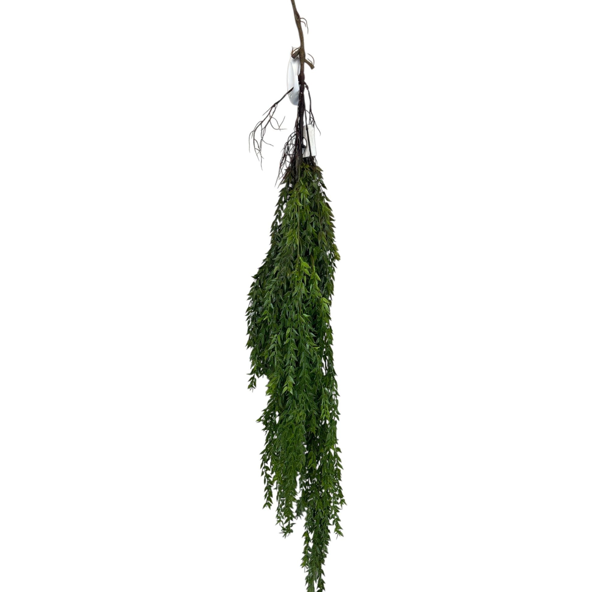 Hanging Bush Mini Leaf