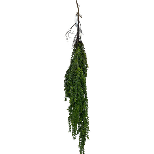 Hanging Bush Mini Leaf