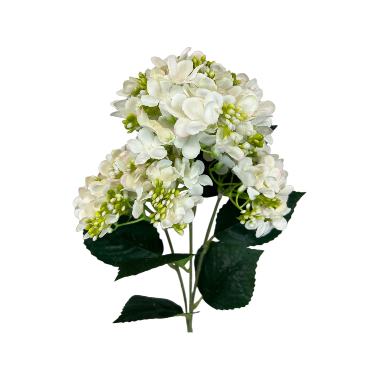 Hydrangea Stem- 3 heads