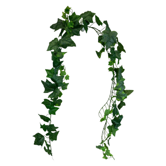 Ivy Garland