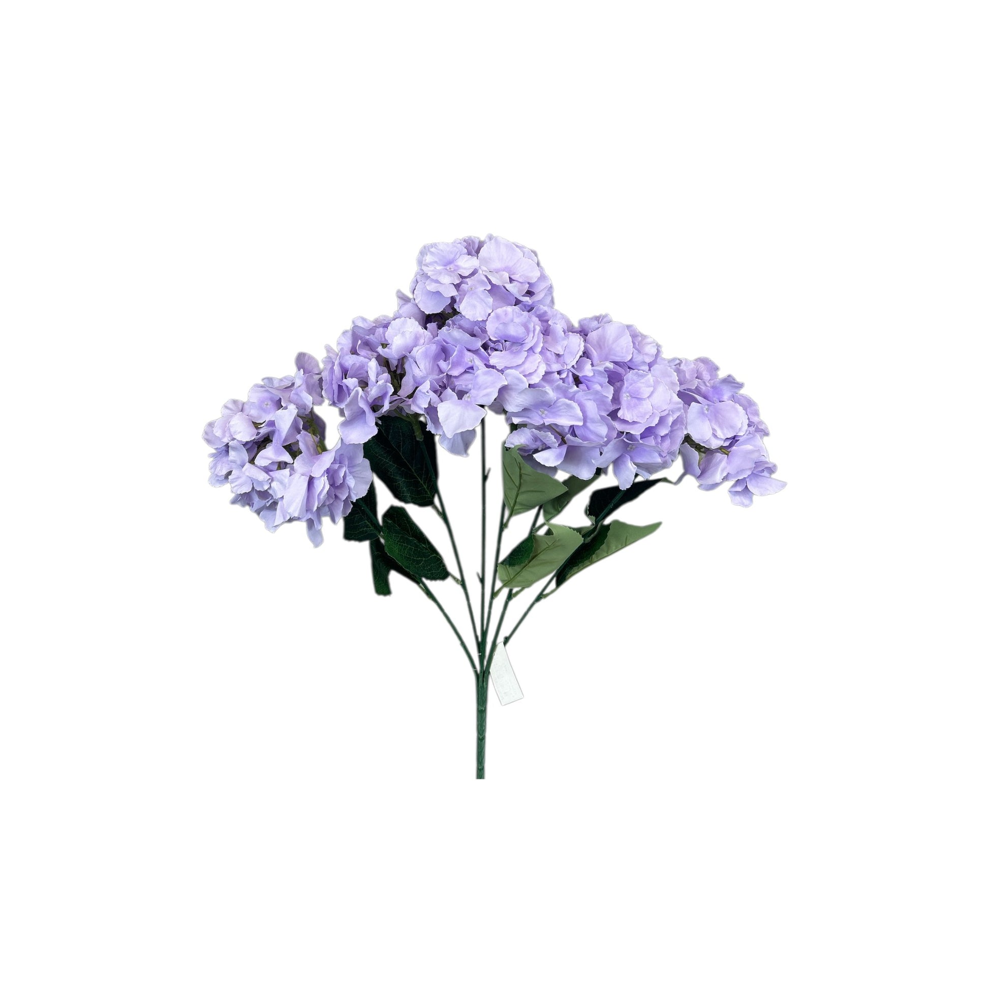 Lavender Hydrangea Bush- 6 heads