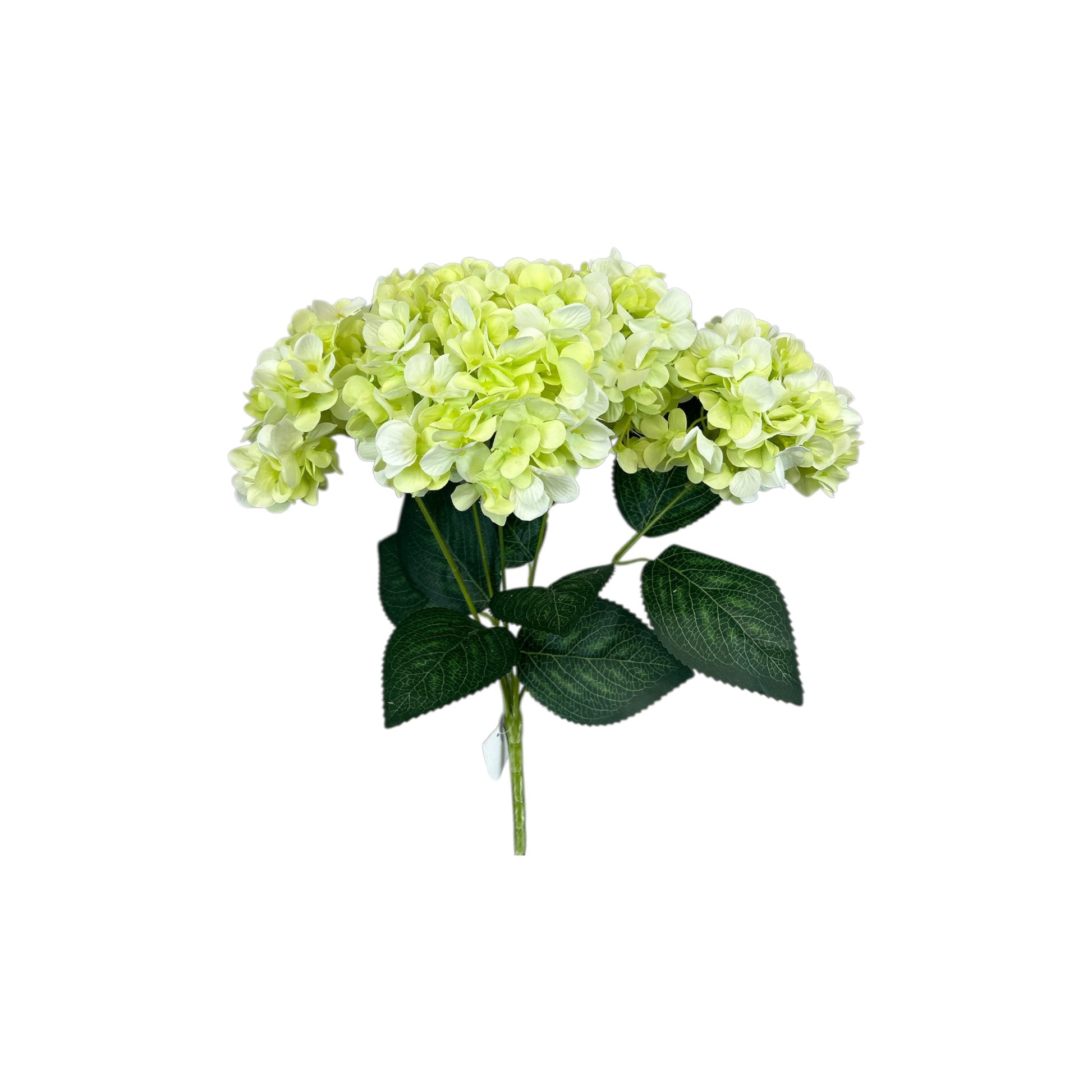 Light Green Hydrangea Bush- 5 heads