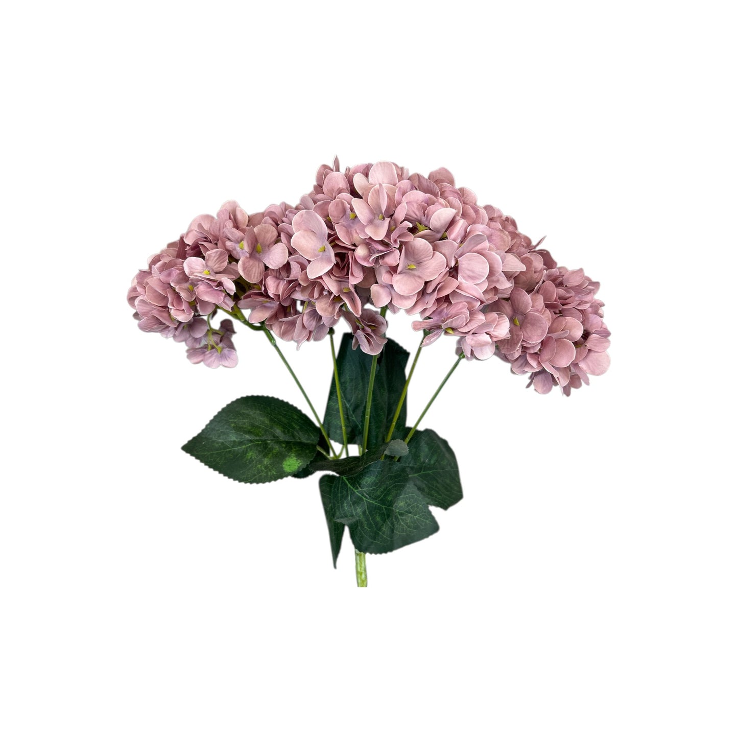 Light Pink Red Hydrangea Bush- 5 heads