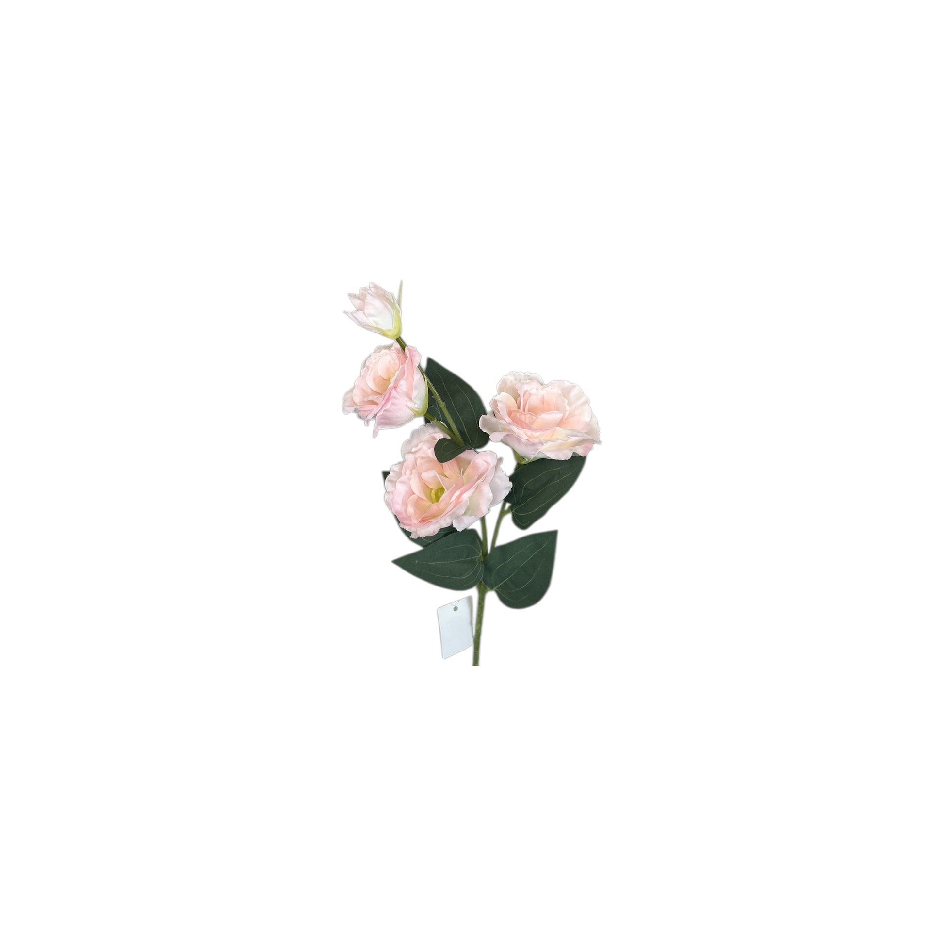 Light Pink Lisianthus Spray