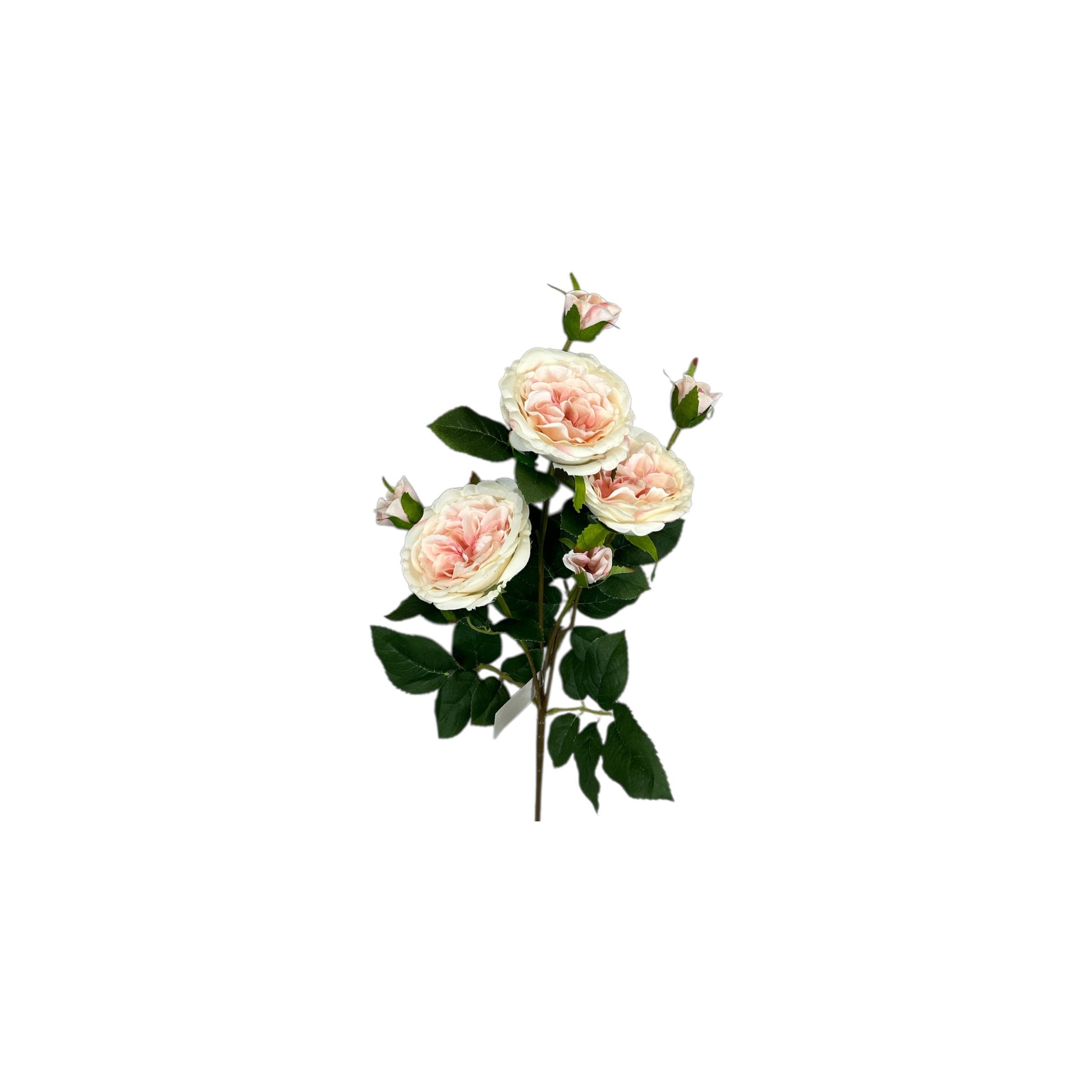 Light Pink Rose Spray With 3 Heads & 4 Buds