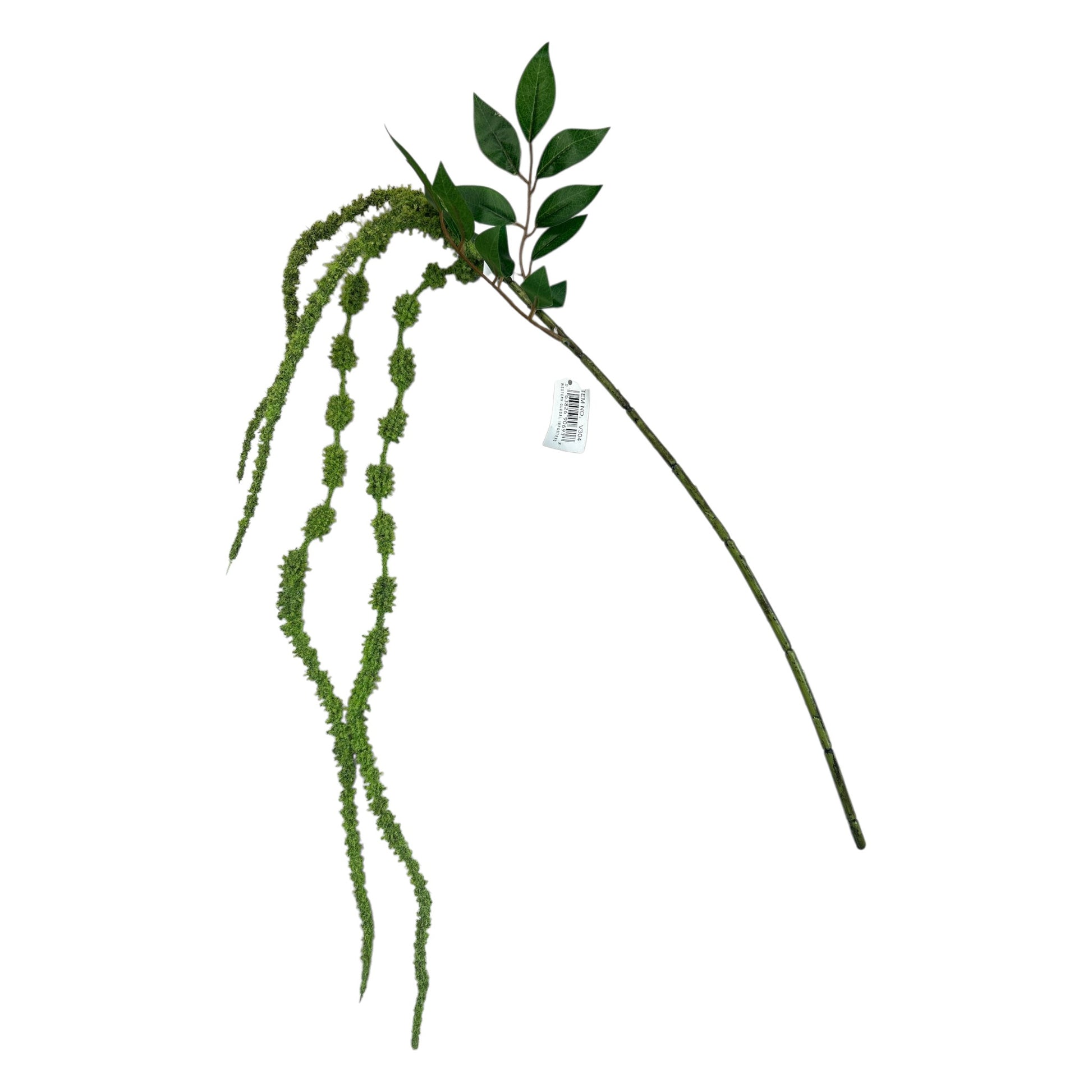Green Hanging Amaranthus