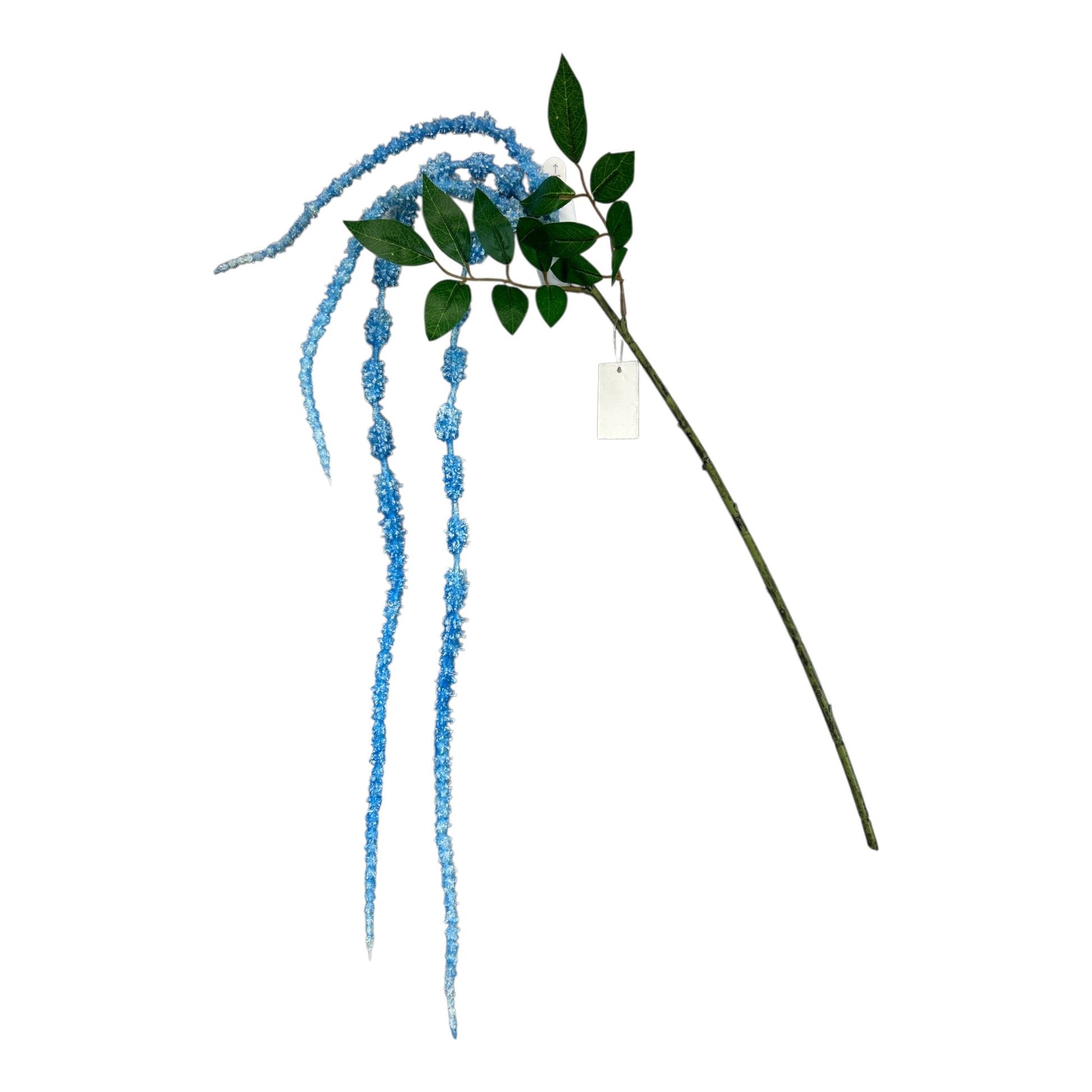 Navy Blue Hanging Amaranthus