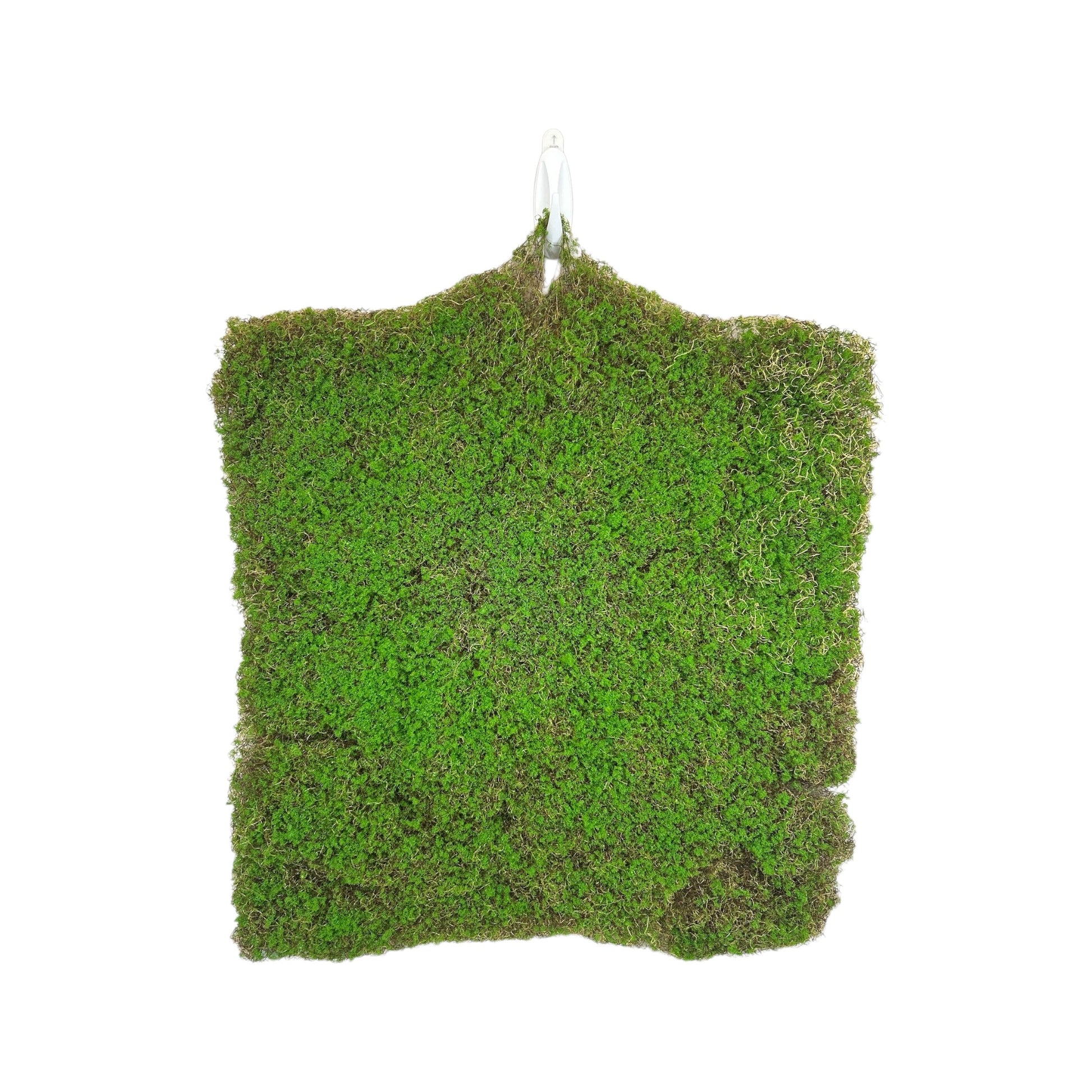 Moss Sheet