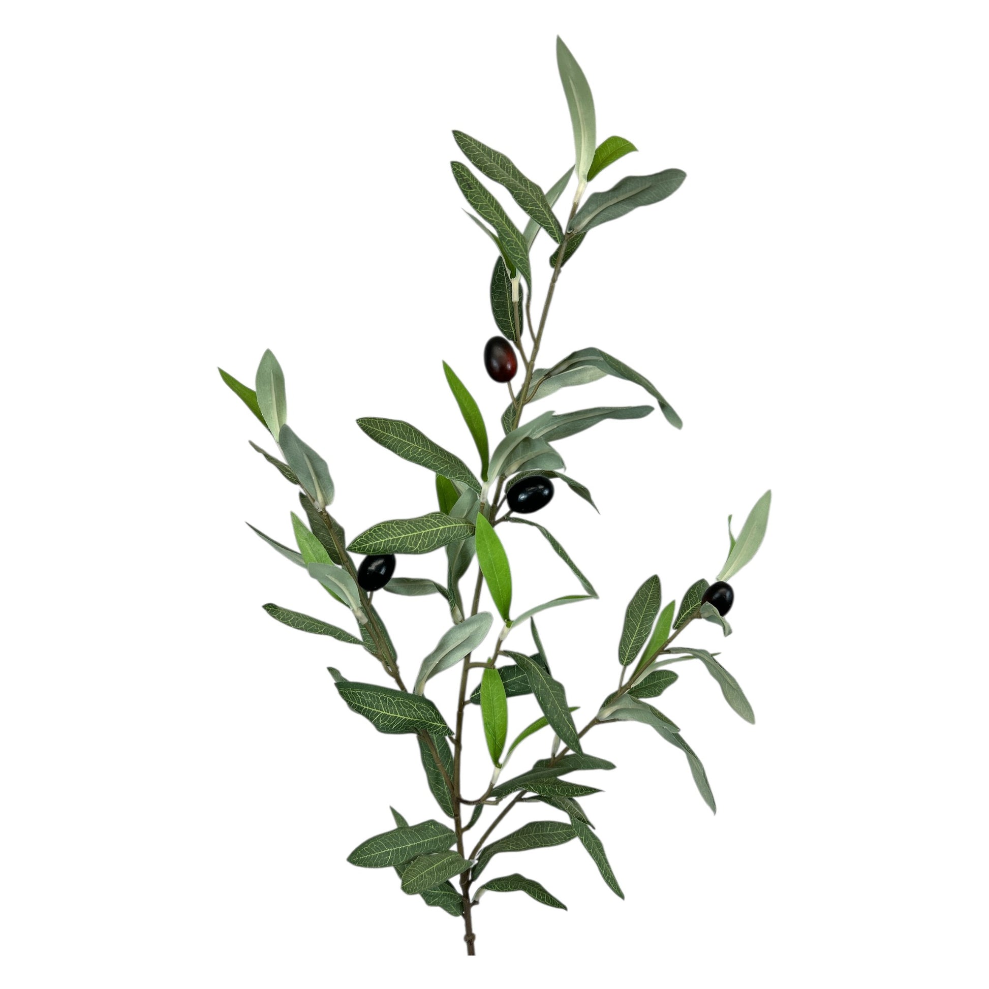 Olive Spray With Olives