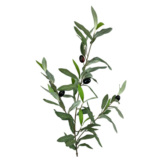 Olive Spray With Olives