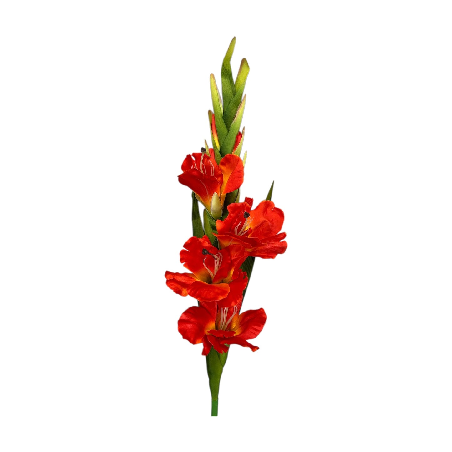 Orange Gladiolus Spray
