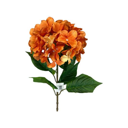 Orange Hydrangea Stem
