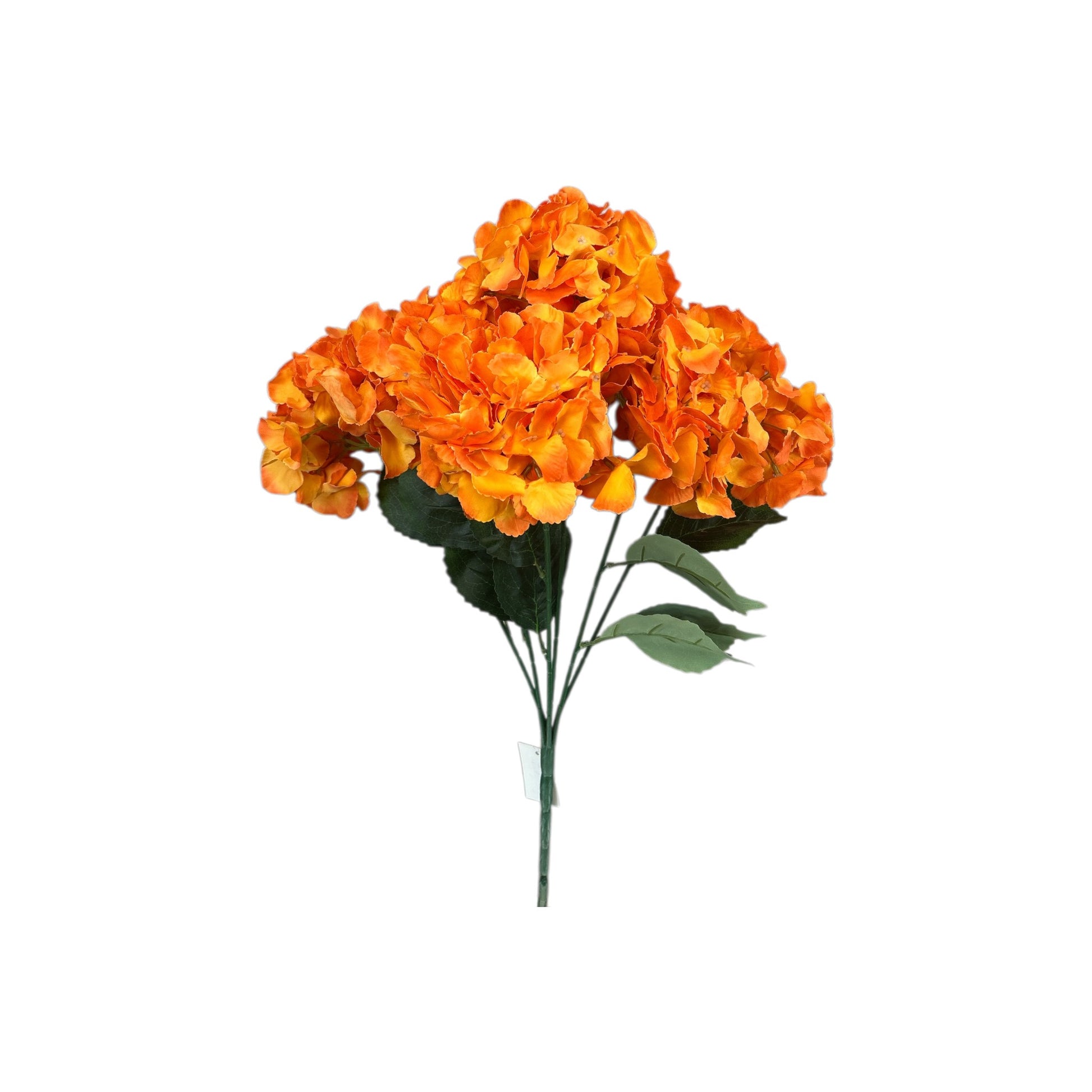 Orange Hydrangea Bush- 6 heads