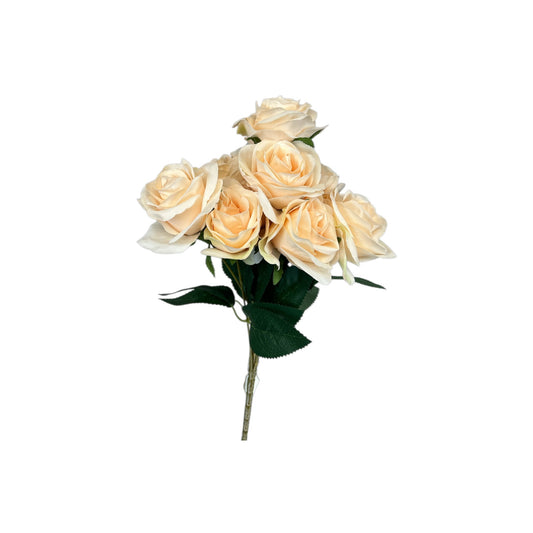 Peach Rose Bush- 9 heads