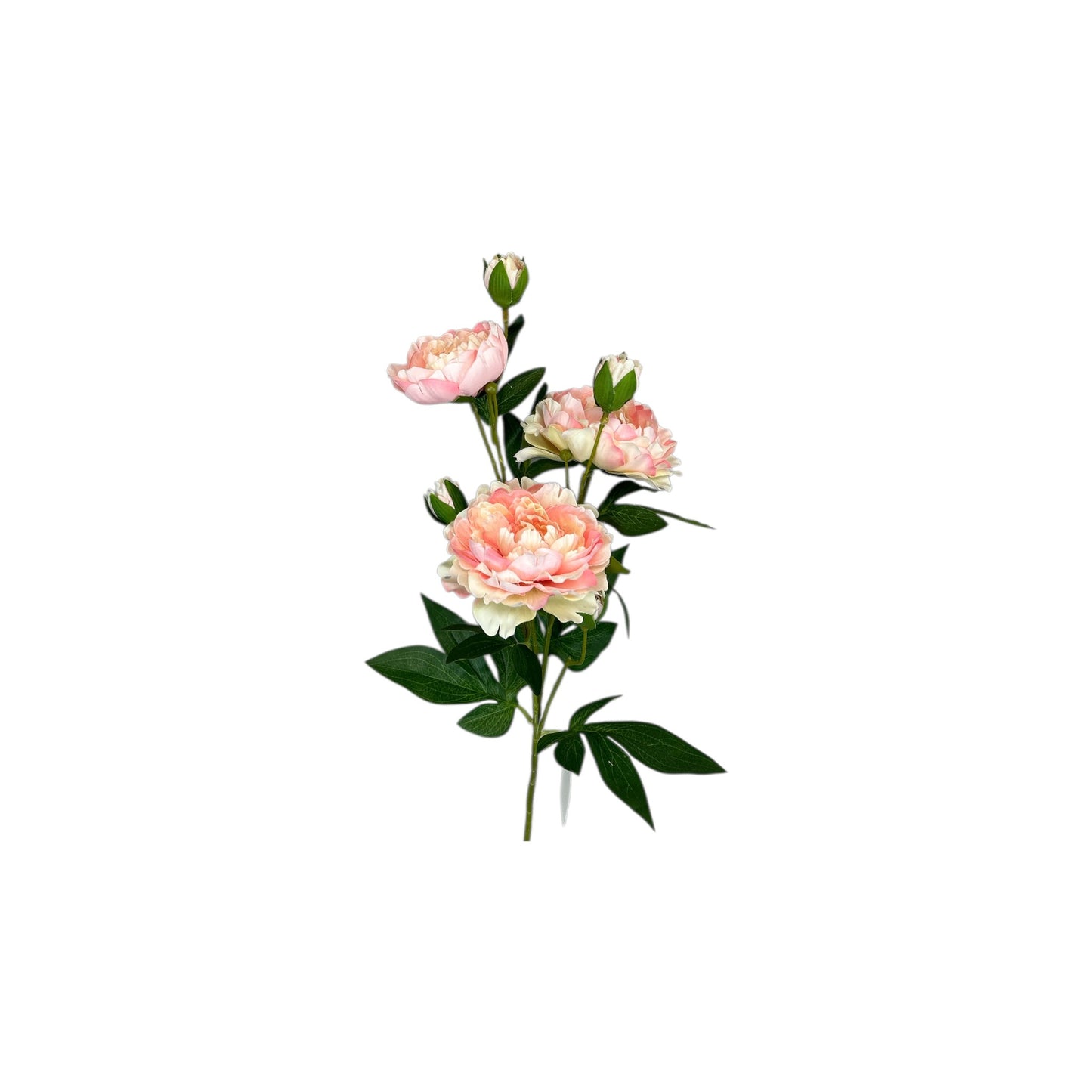 Rose Spray With buds- 3 heads