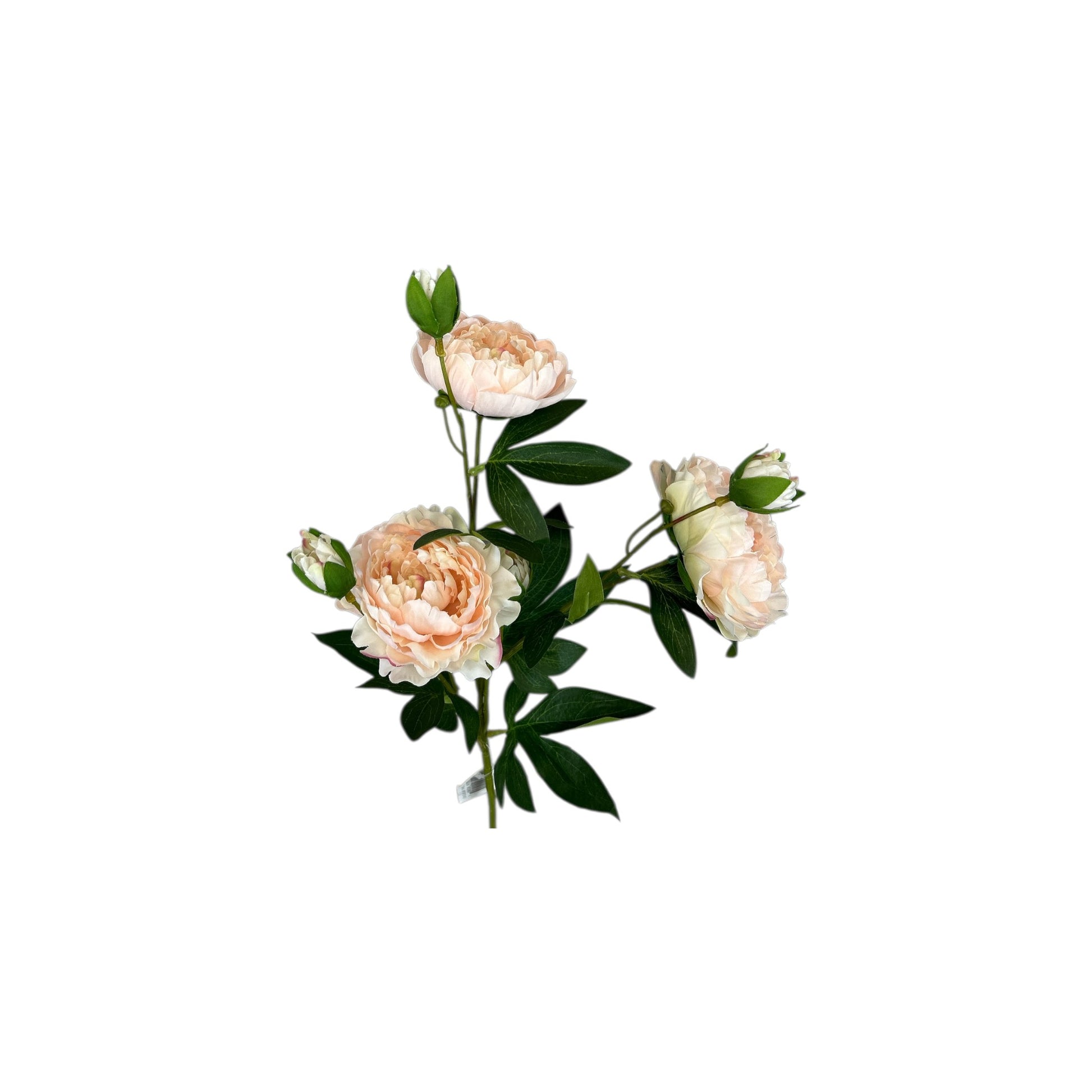 Rose Spray With 3 Heads & 3 Buds