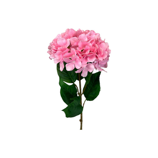 Pink Hydrangea Stem
