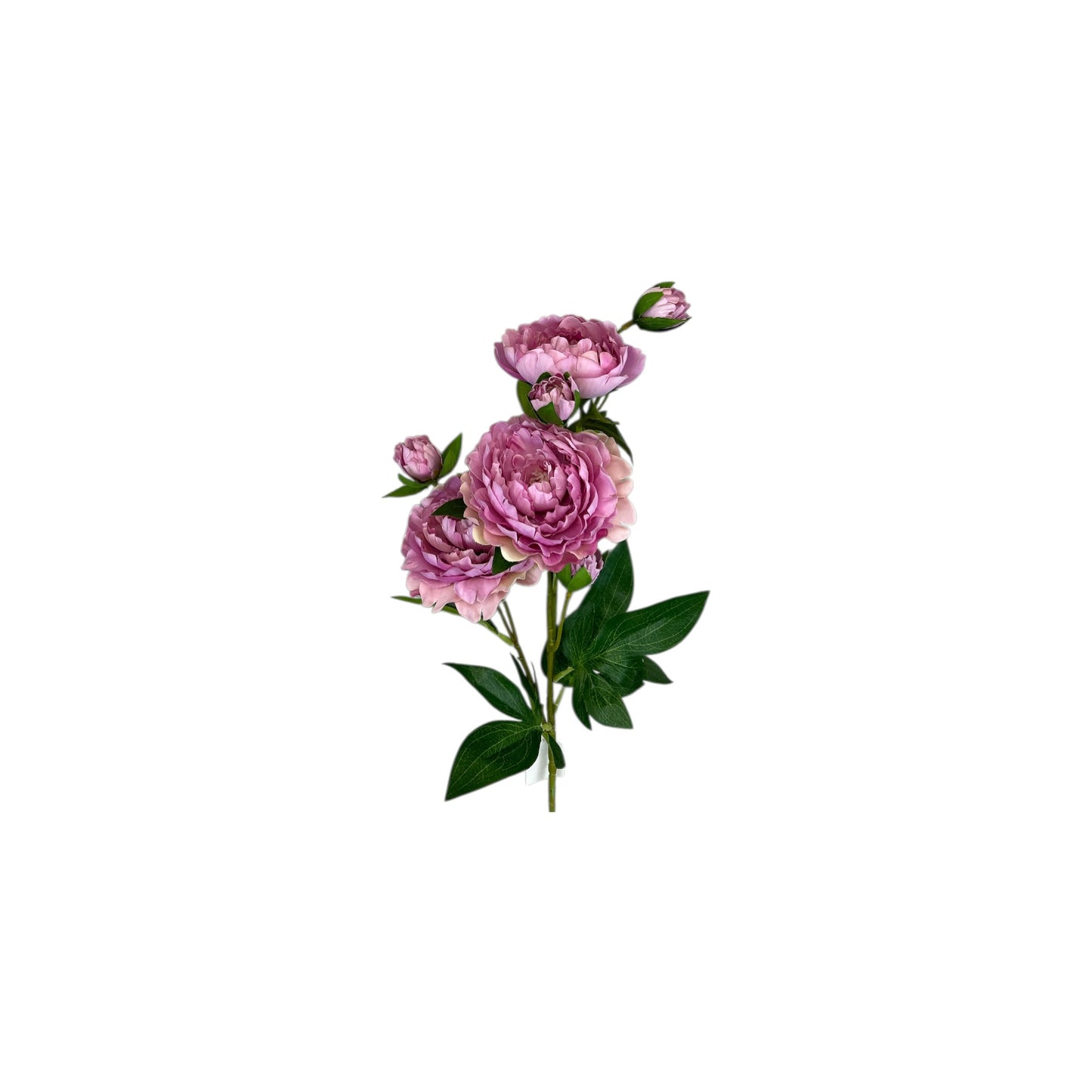 Rose Spray With 3 Heads & 3 Buds