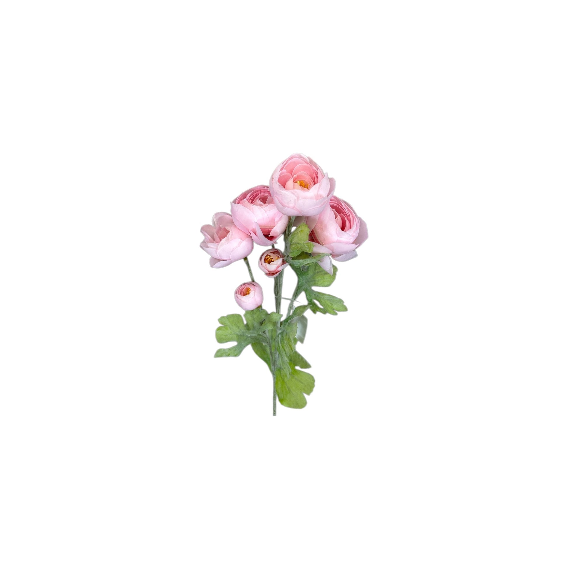 Light Pink Ranunculus Spray- 3 heads