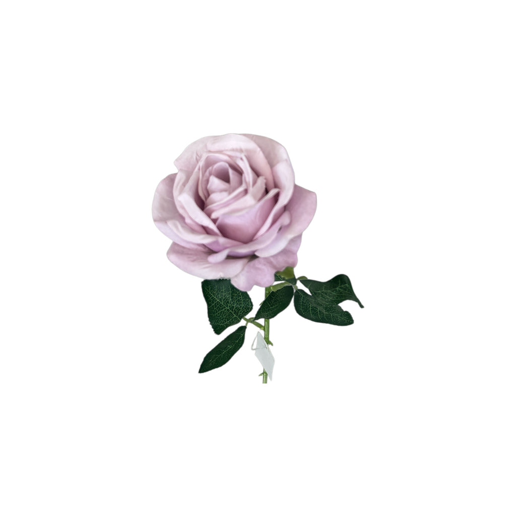 Rose Stem – Western Global Importers