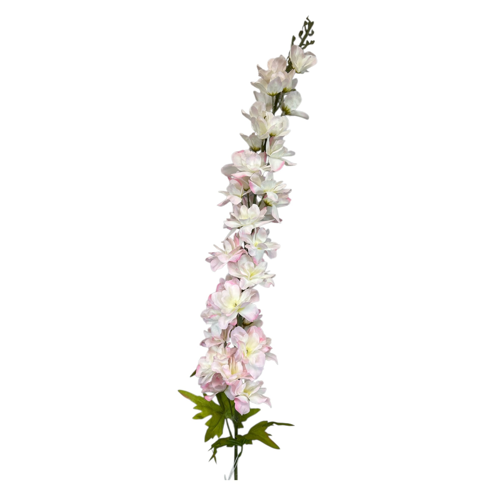 Delphinium Spray