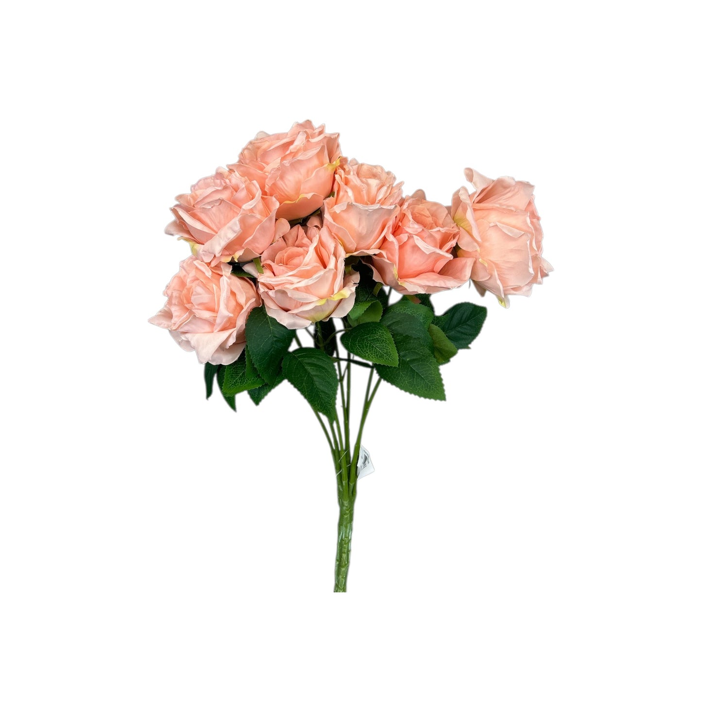 Light Pink Rose Bush- 7 heads