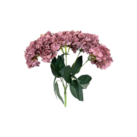 European Pink Red Hydrangea Bush- 5 heads
