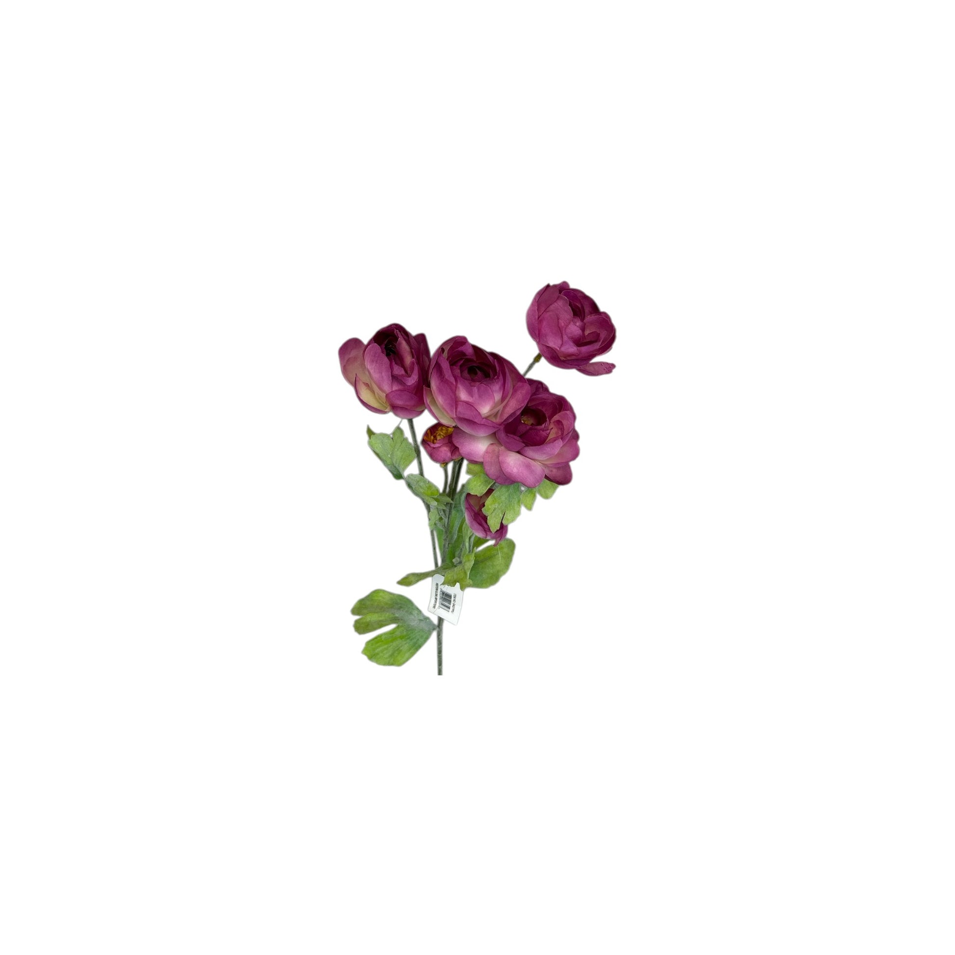 Purple Ranunculus Spray- 3 heads