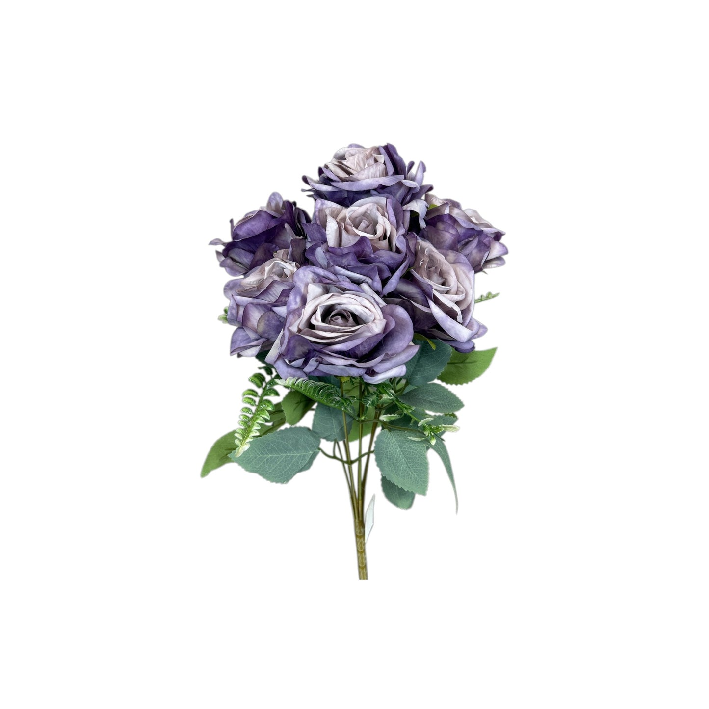 Purple Rose Bush- 7 heads