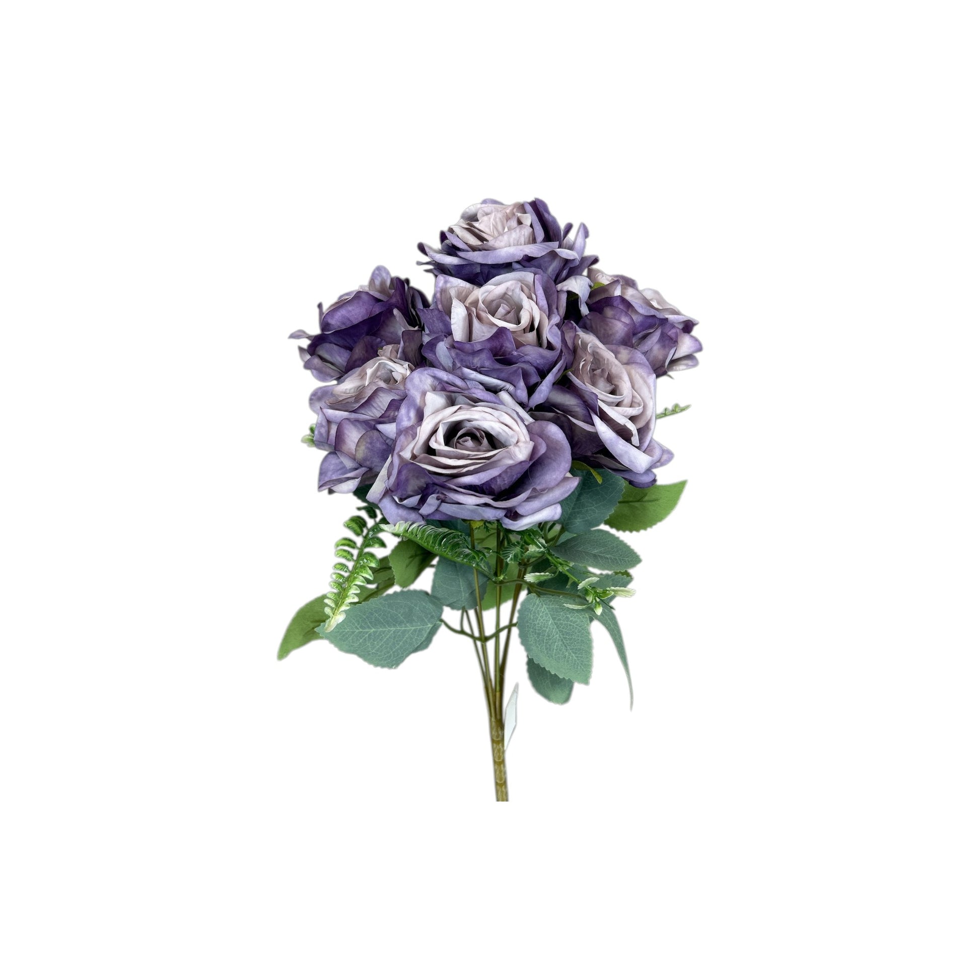 Purple Rose Bush- 7 heads