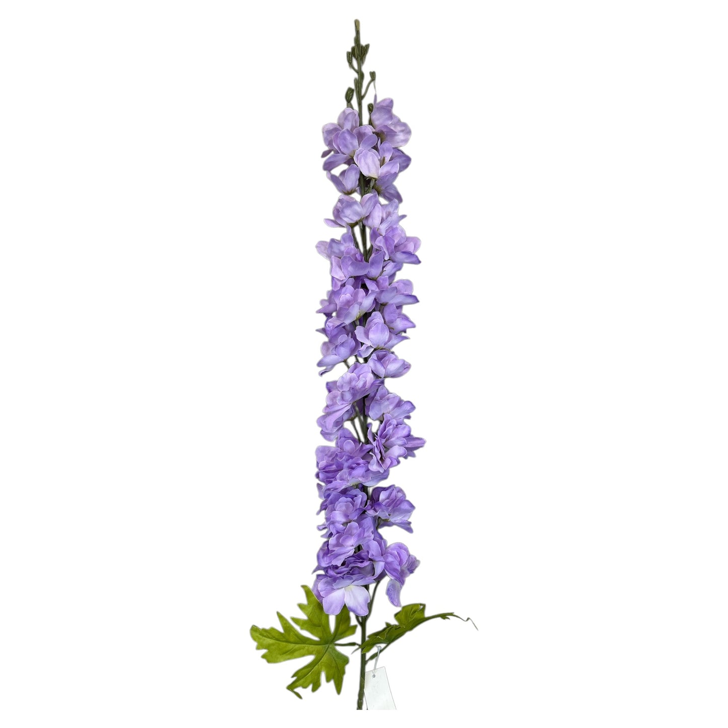 Delphinium Spray